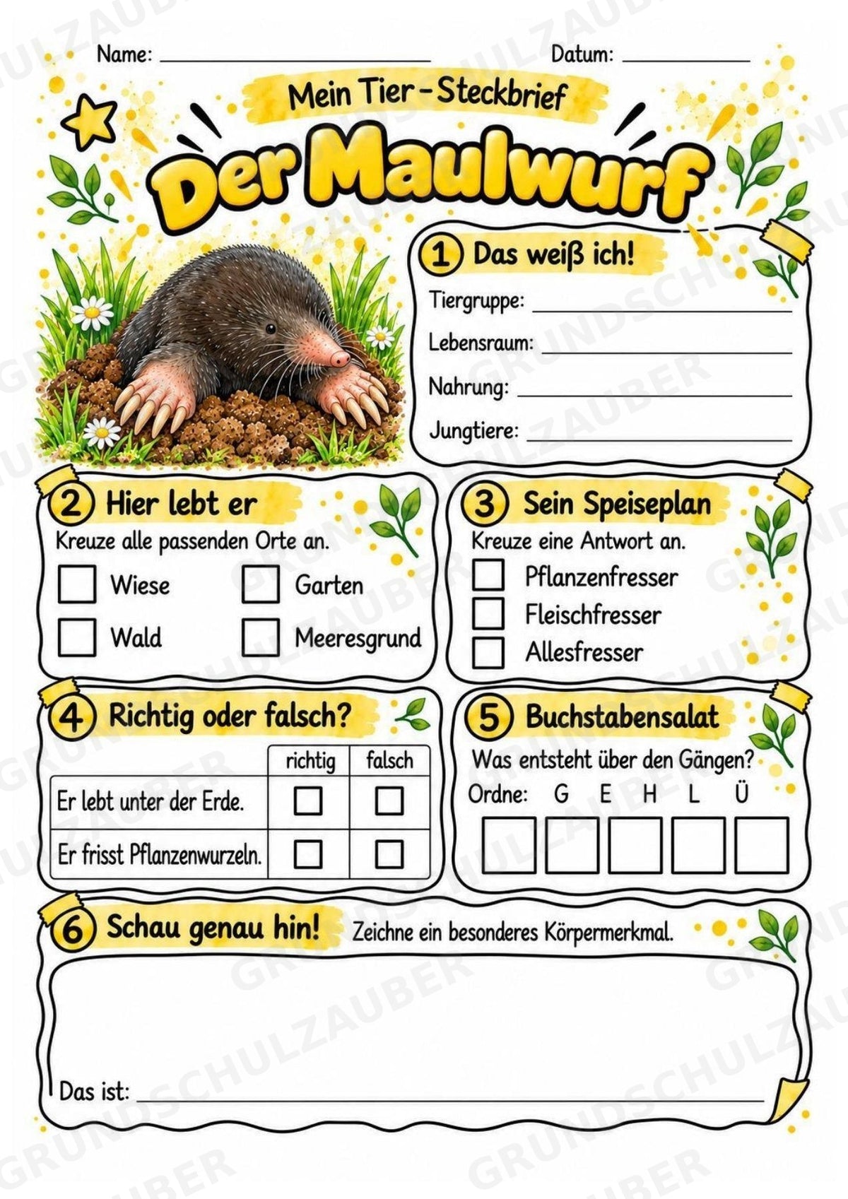 Maulwurf - Lesetext & Steckbrief | Sachunterricht Tiere Grundschule – Materialseite 3