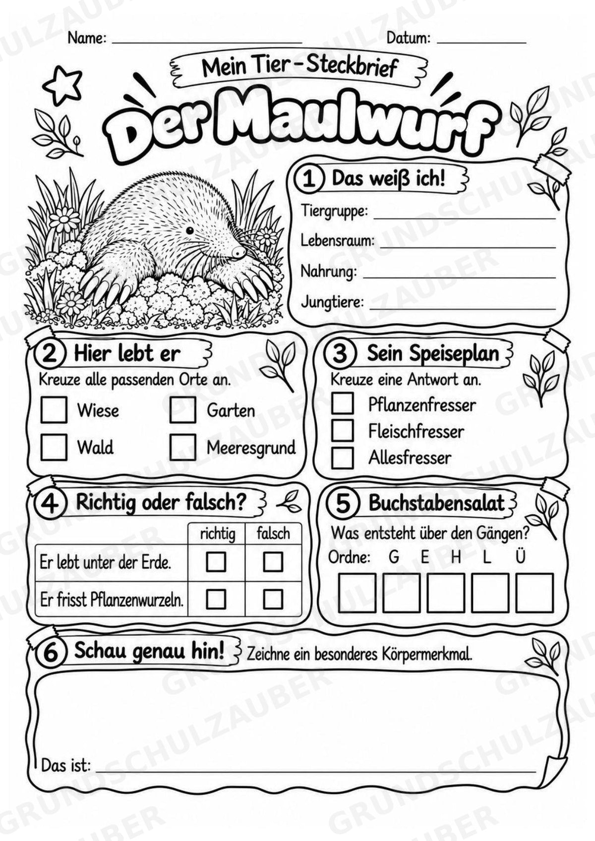 Maulwurf - Lesetext & Steckbrief | Sachunterricht Tiere Grundschule – Materialseite 4