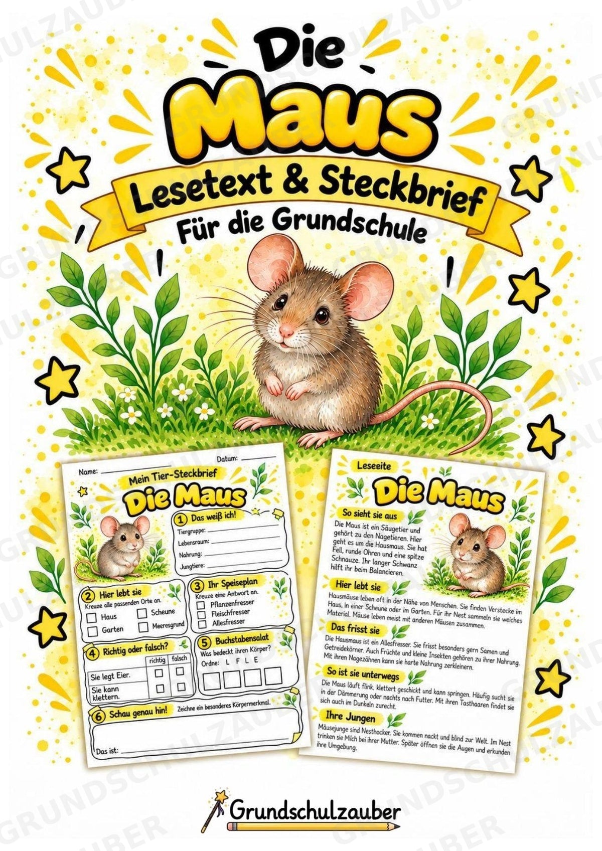 Maus - Lesetext & Steckbrief | Sachunterricht Tiere Grundschule – Cover
