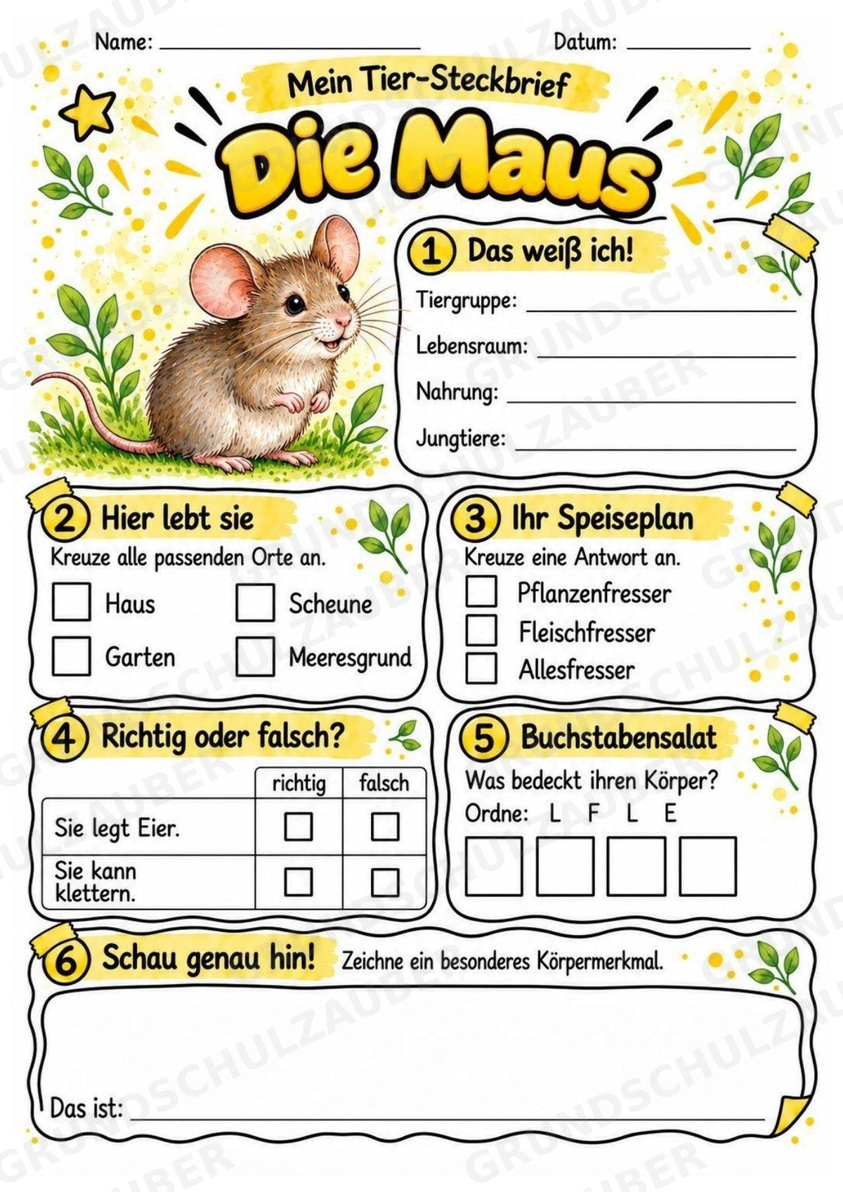Maus - Lesetext & Steckbrief | Sachunterricht Tiere Grundschule – Materialseite 3