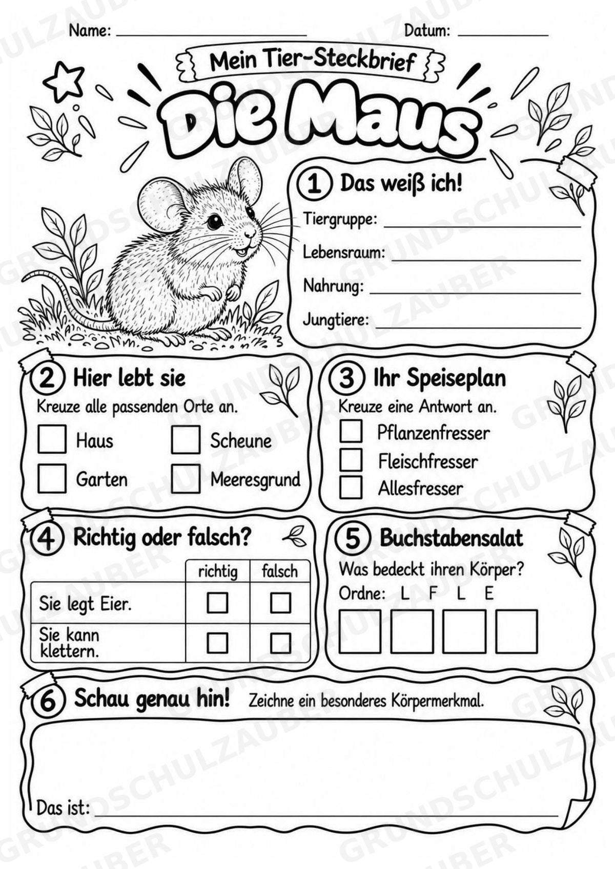Maus - Lesetext & Steckbrief | Sachunterricht Tiere Grundschule – Materialseite 4