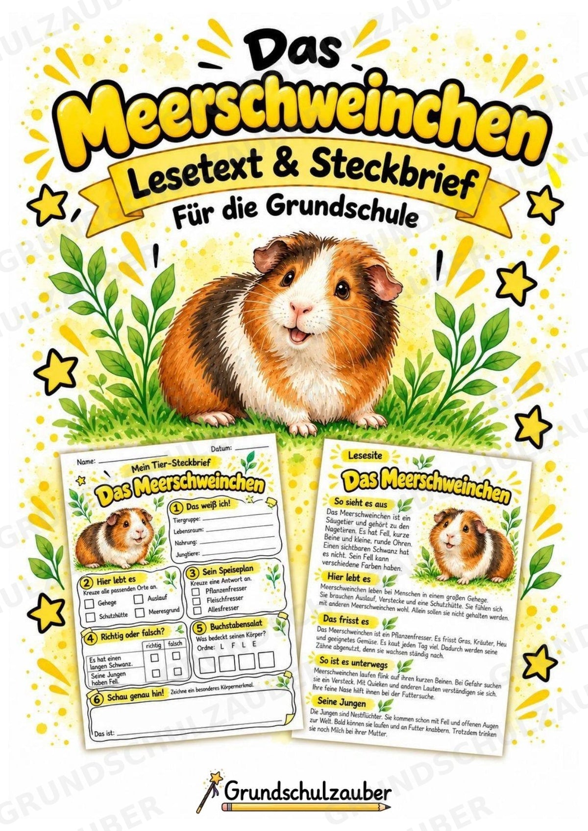 Meerschweinchen - Lesetext & Steckbrief | Sachunterricht Tiere Grundschule – Cover