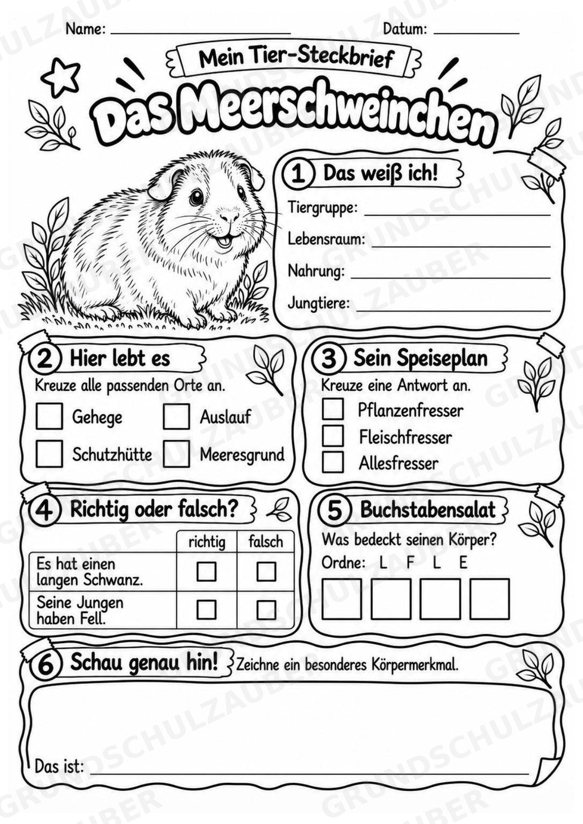 Meerschweinchen - Lesetext & Steckbrief | Sachunterricht Tiere Grundschule – Materialseite 4