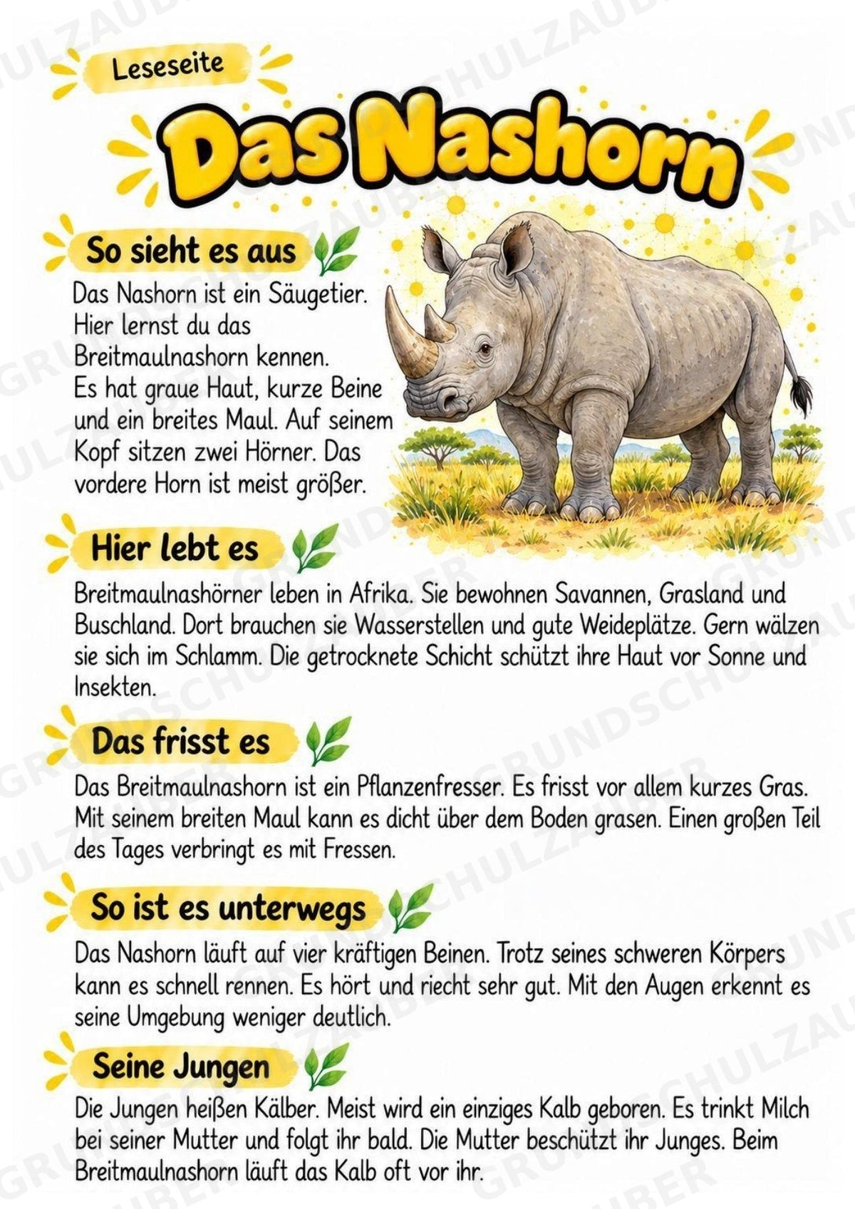 Nashorn - Lesetext & Steckbrief | Sachunterricht Tiere Grundschule – Materialseite 2
