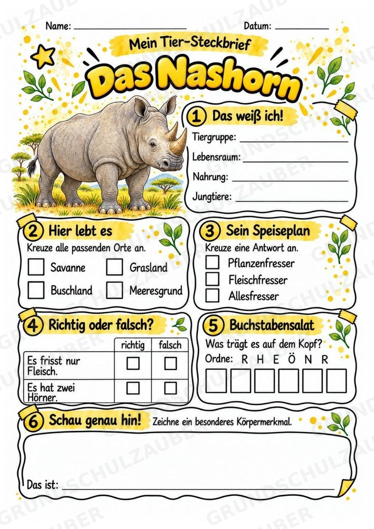 Nashorn - Lesetext & Steckbrief | Sachunterricht Tiere Grundschule – Materialseite 3