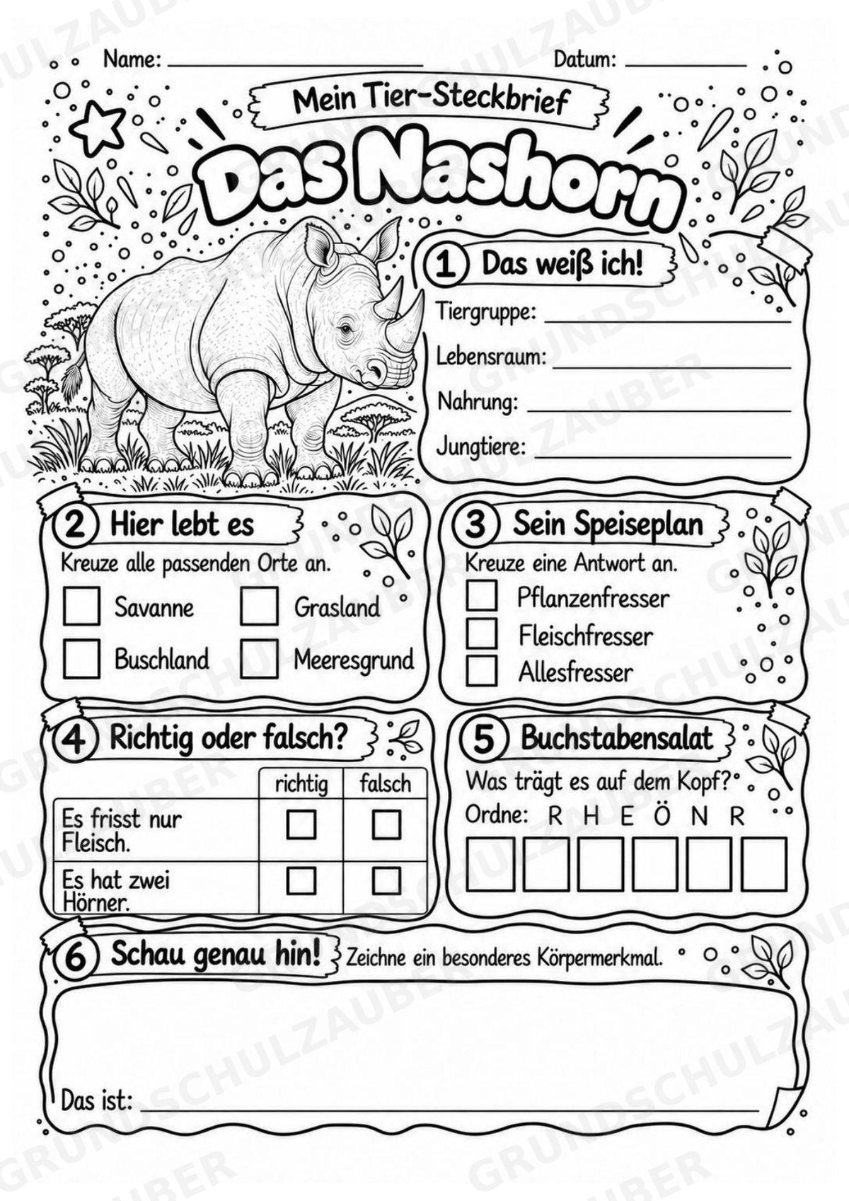 Nashorn - Lesetext & Steckbrief | Sachunterricht Tiere Grundschule – Materialseite 4