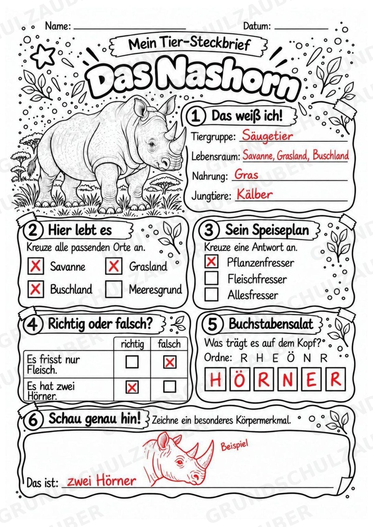 Nashorn - Lesetext & Steckbrief | Sachunterricht Tiere Grundschule – Materialseite 5