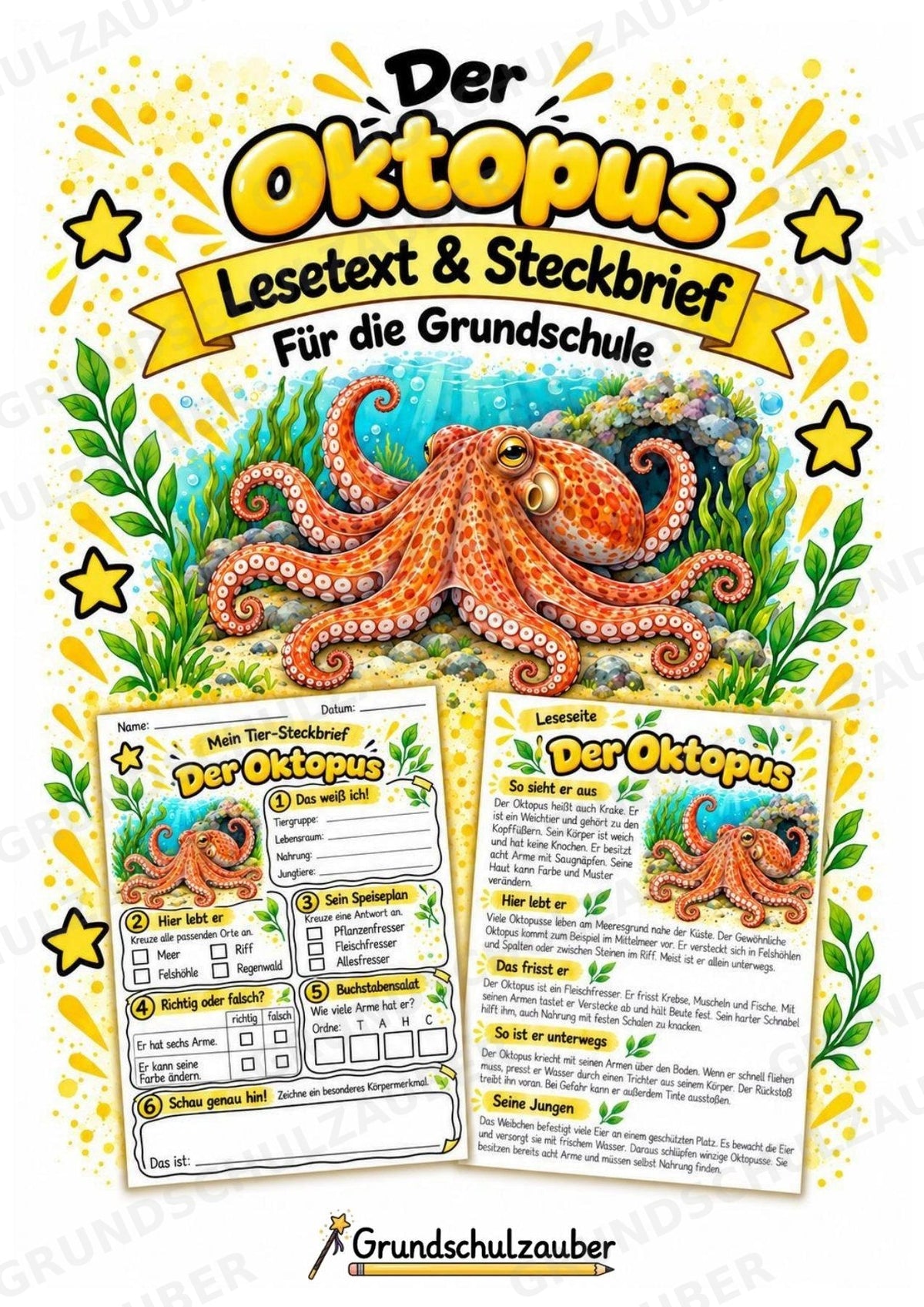 Oktopus - Lesetext & Steckbrief | Sachunterricht Tiere Grundschule – Cover
