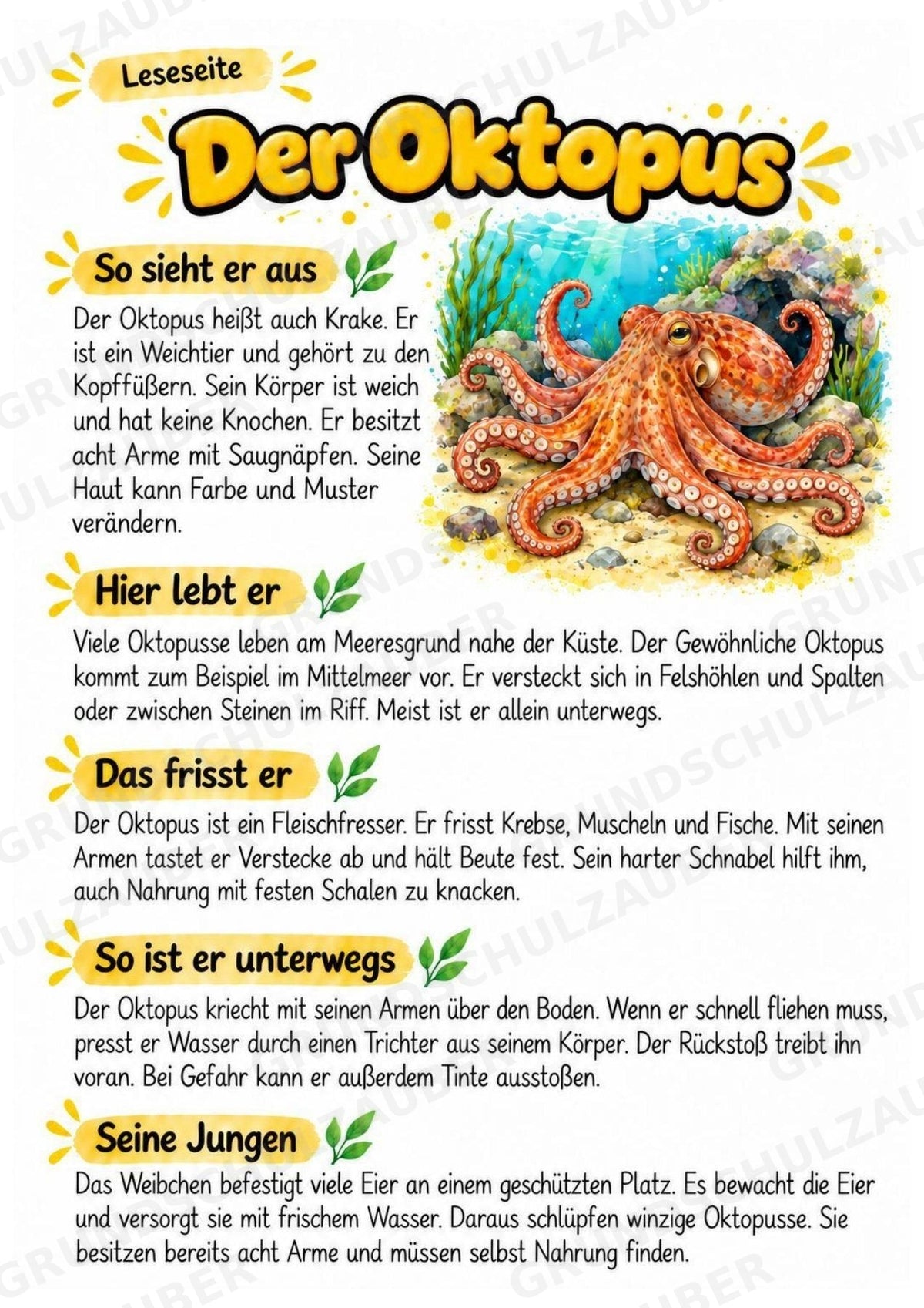 Oktopus - Lesetext & Steckbrief | Sachunterricht Tiere Grundschule – Materialseite 2