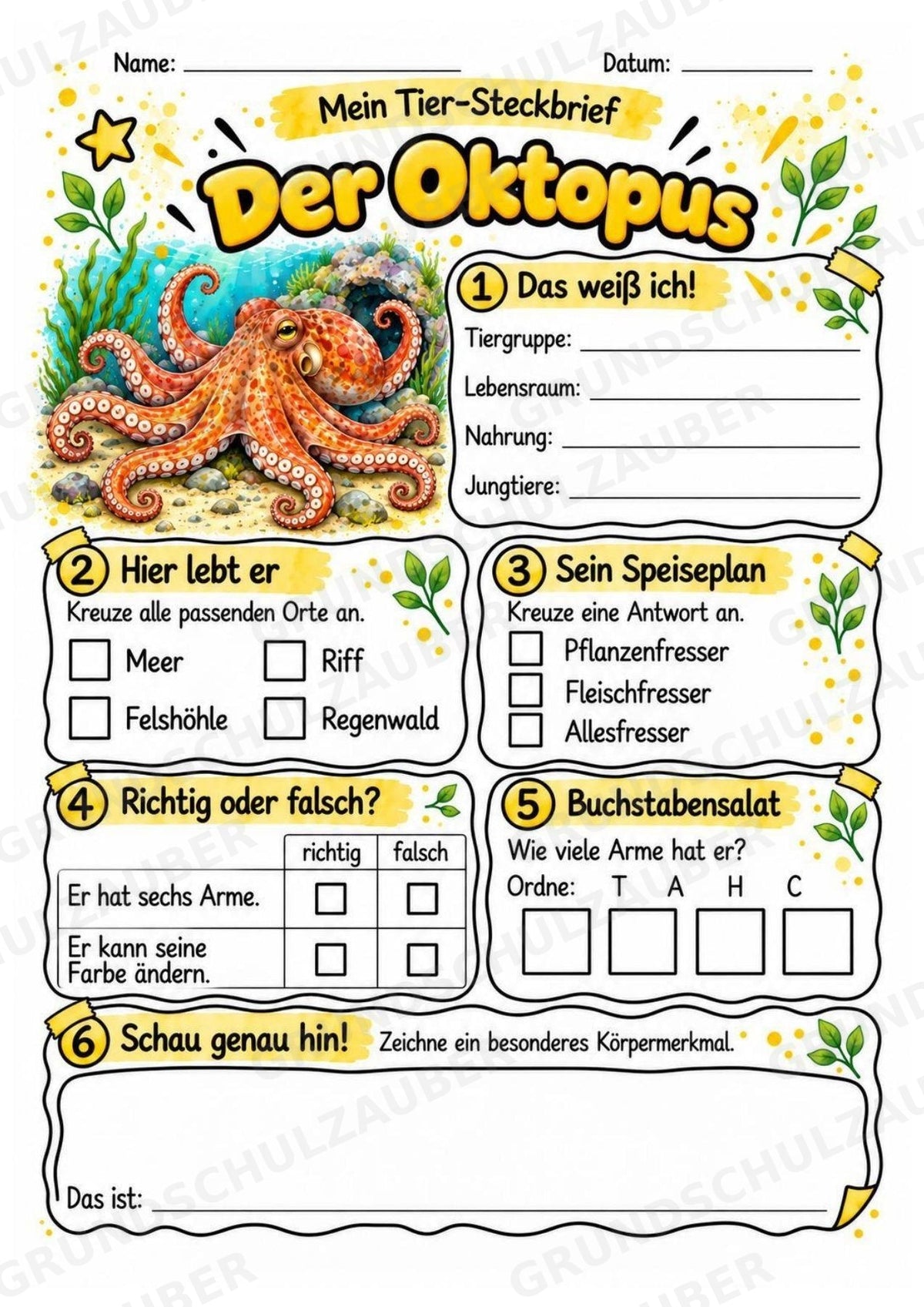 Oktopus - Lesetext & Steckbrief | Sachunterricht Tiere Grundschule – Materialseite 3