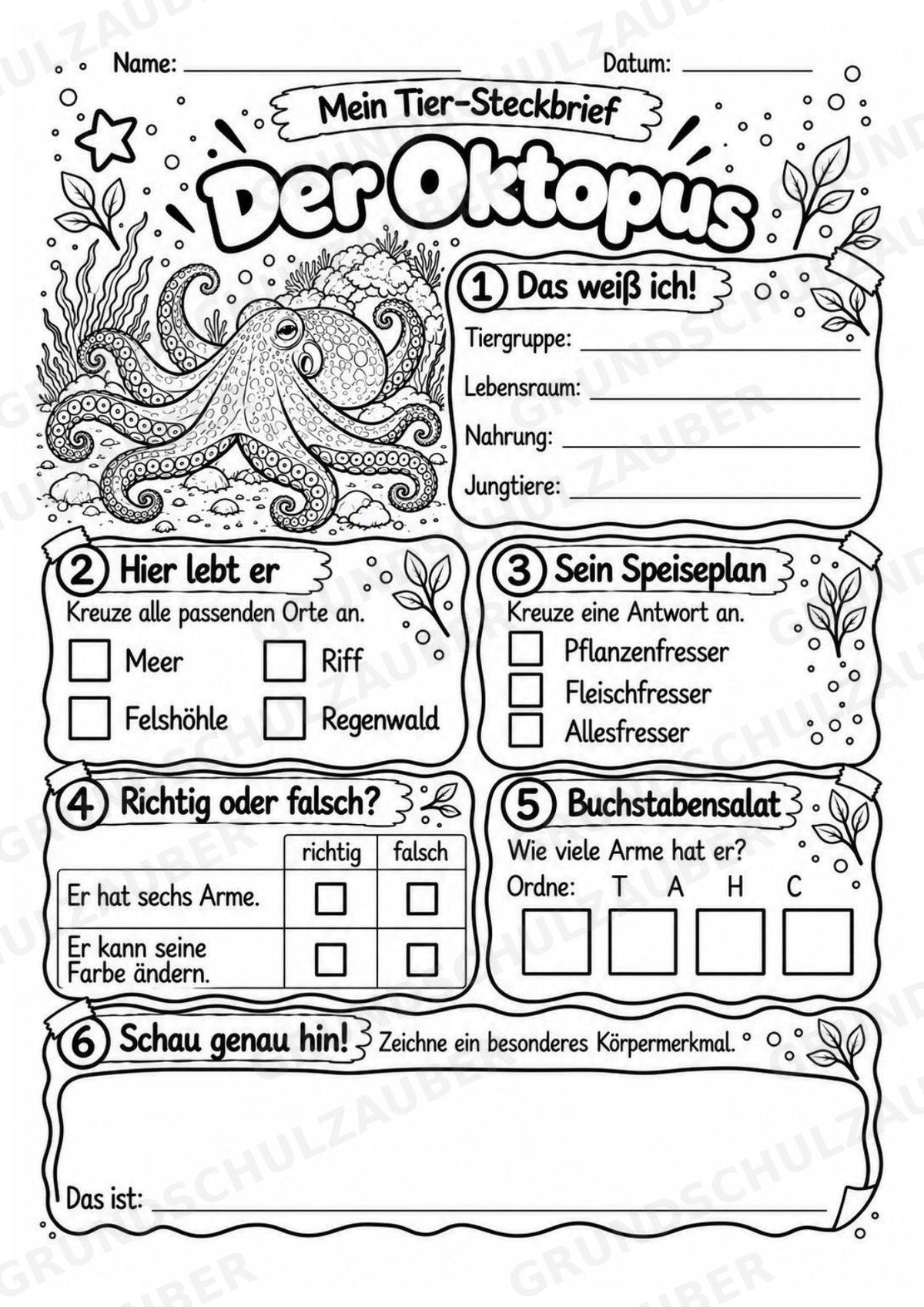 Oktopus - Lesetext & Steckbrief | Sachunterricht Tiere Grundschule – Materialseite 4