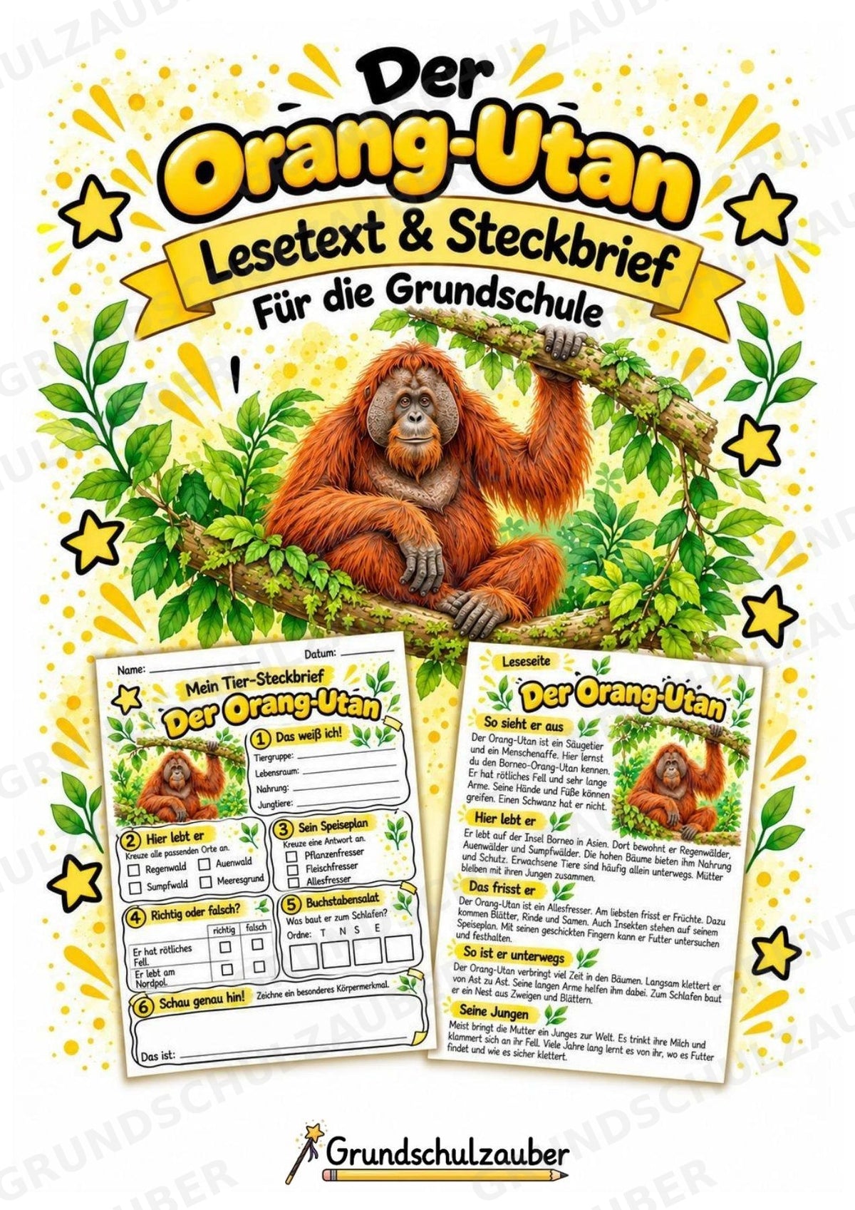 Orang Utan - Lesetext & Steckbrief | Sachunterricht Tiere Grundschule – Cover