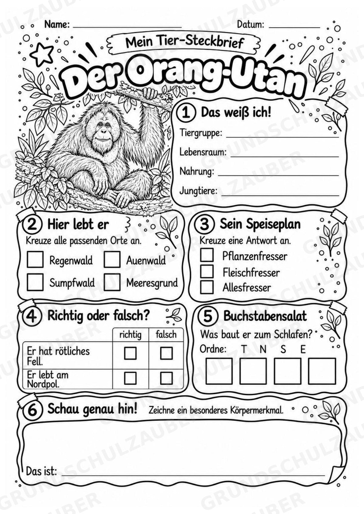 Orang Utan - Lesetext & Steckbrief | Sachunterricht Tiere Grundschule – Materialseite 4