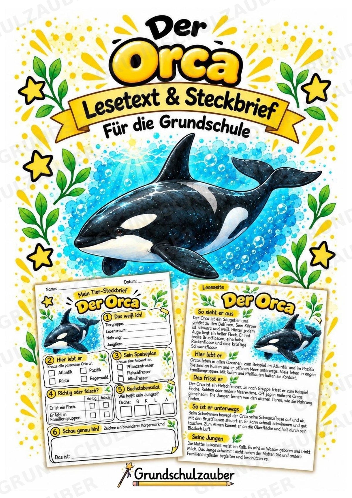 Orca - Lesetext & Steckbrief | Sachunterricht Tiere Grundschule – Cover