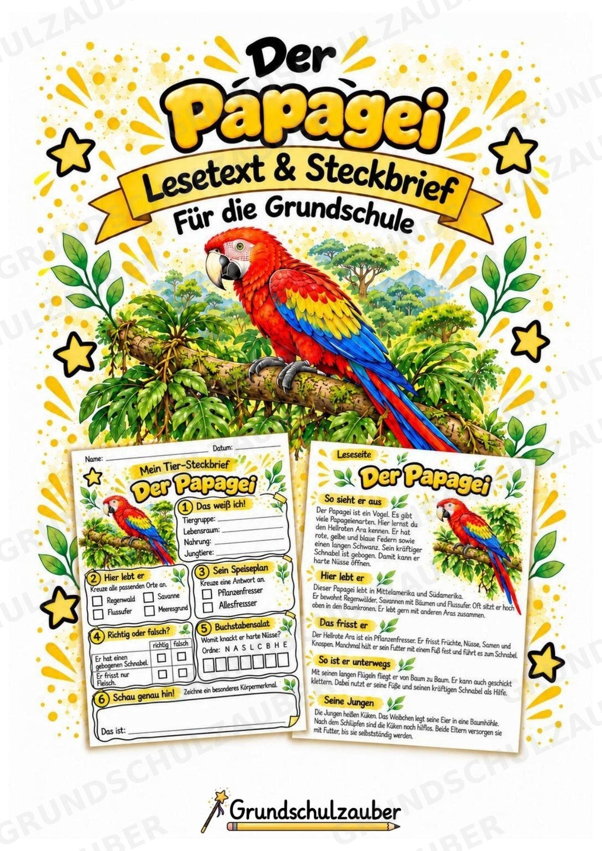 Papagei - Lesetext & Steckbrief | Sachunterricht Tiere Grundschule – Cover