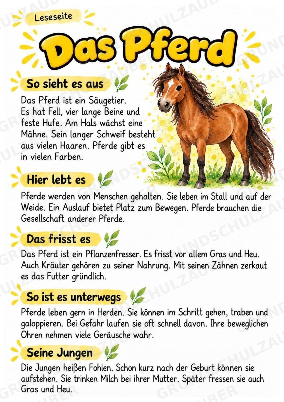 Pferd - Lesetext & Steckbrief | Sachunterricht Tiere Grundschule – Materialseite 2