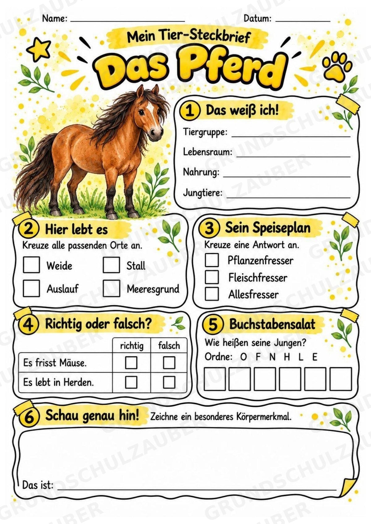Pferd - Lesetext & Steckbrief | Sachunterricht Tiere Grundschule – Materialseite 3