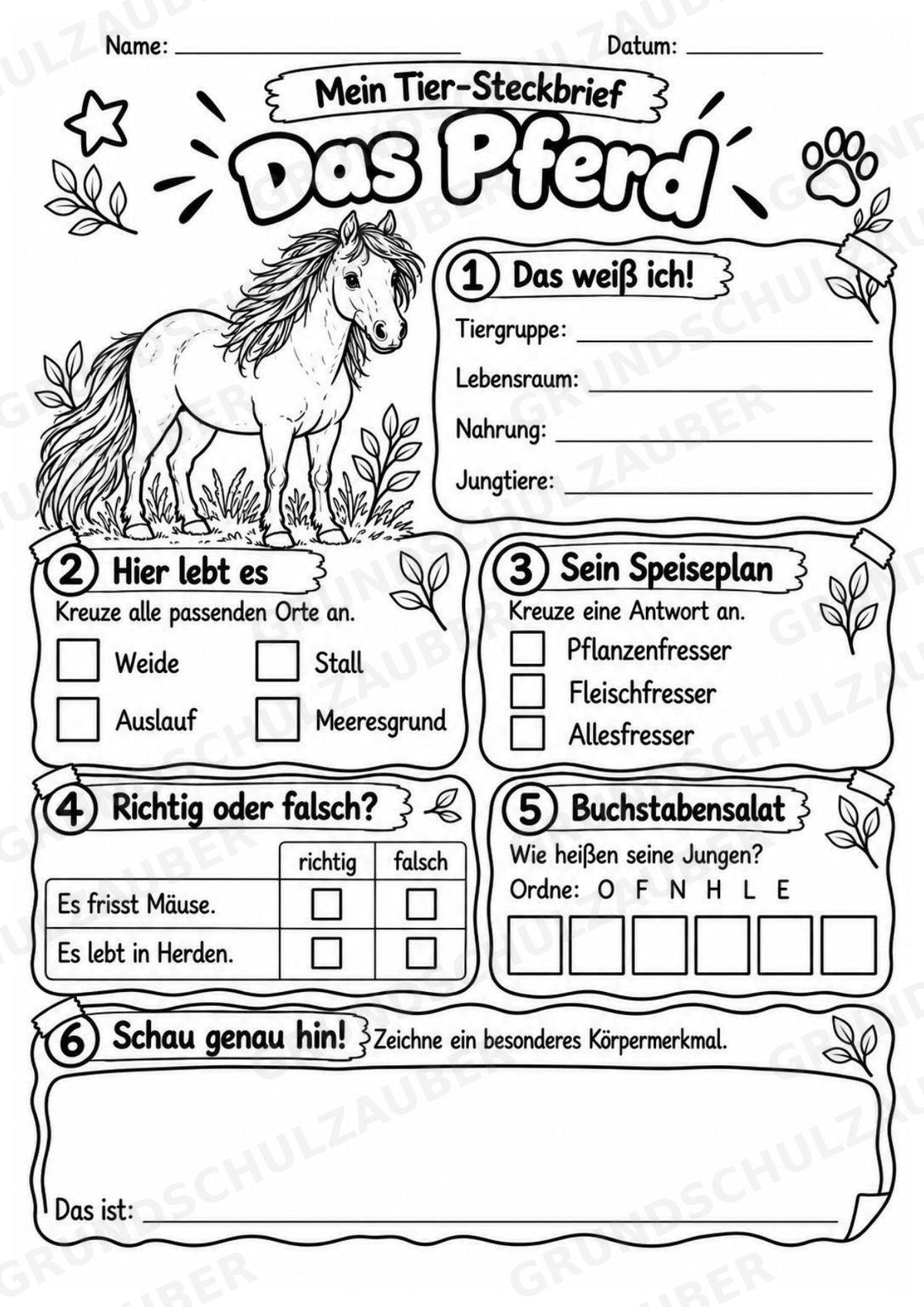 Pferd - Lesetext & Steckbrief | Sachunterricht Tiere Grundschule – Materialseite 4
