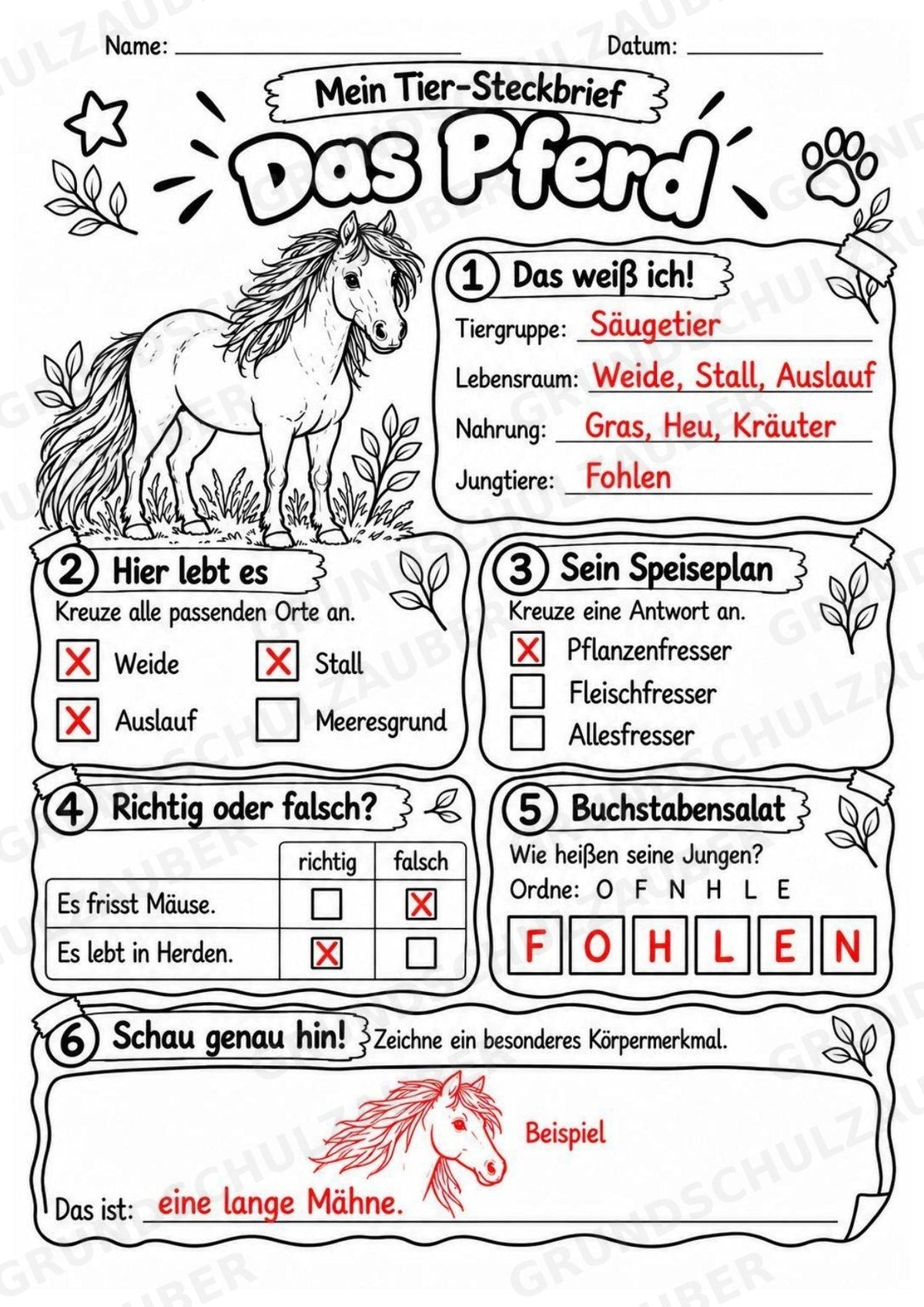 Pferd - Lesetext & Steckbrief | Sachunterricht Tiere Grundschule – Materialseite 5