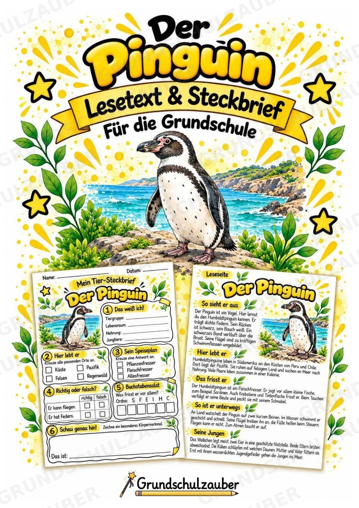 Pinguin - Lesetext & Steckbrief | Sachunterricht Tiere Grundschule – Cover