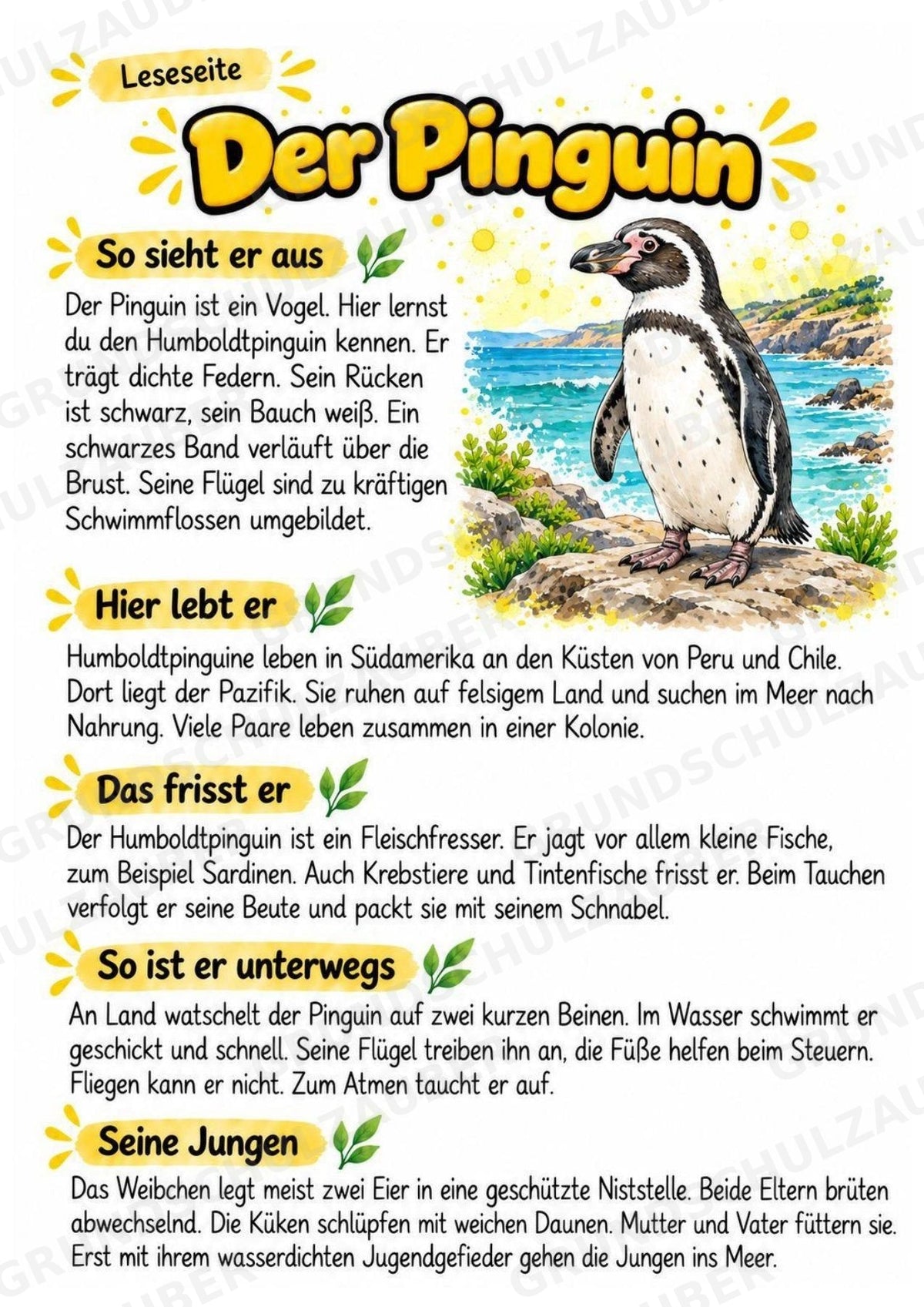 Pinguin - Lesetext & Steckbrief | Sachunterricht Tiere Grundschule – Materialseite 2