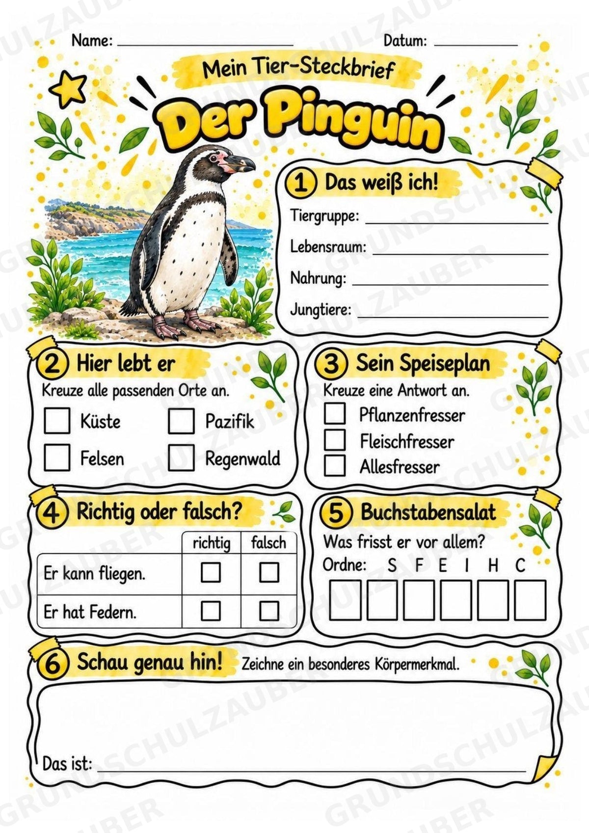 Pinguin - Lesetext & Steckbrief | Sachunterricht Tiere Grundschule – Materialseite 3