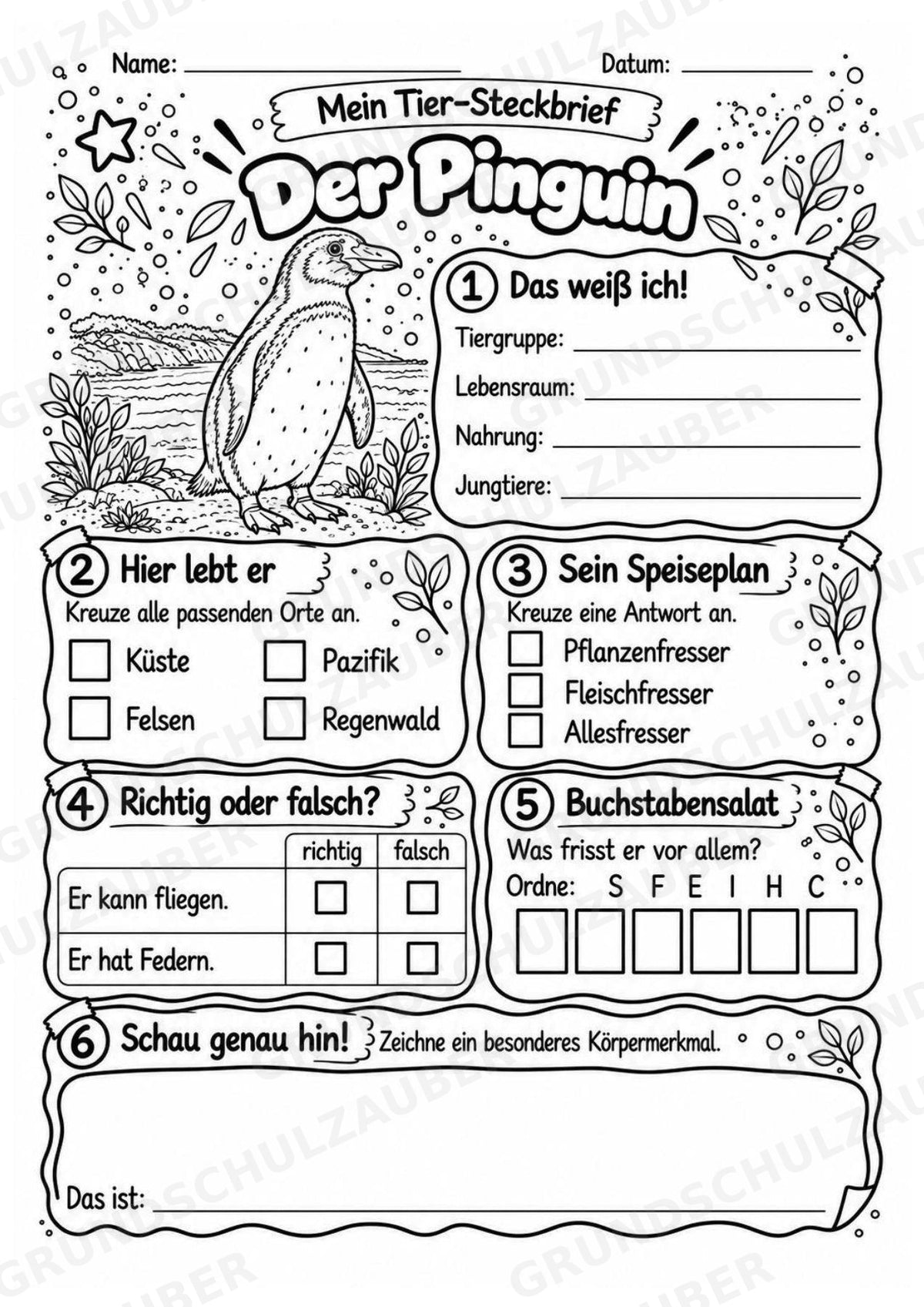 Pinguin - Lesetext & Steckbrief | Sachunterricht Tiere Grundschule – Materialseite 4