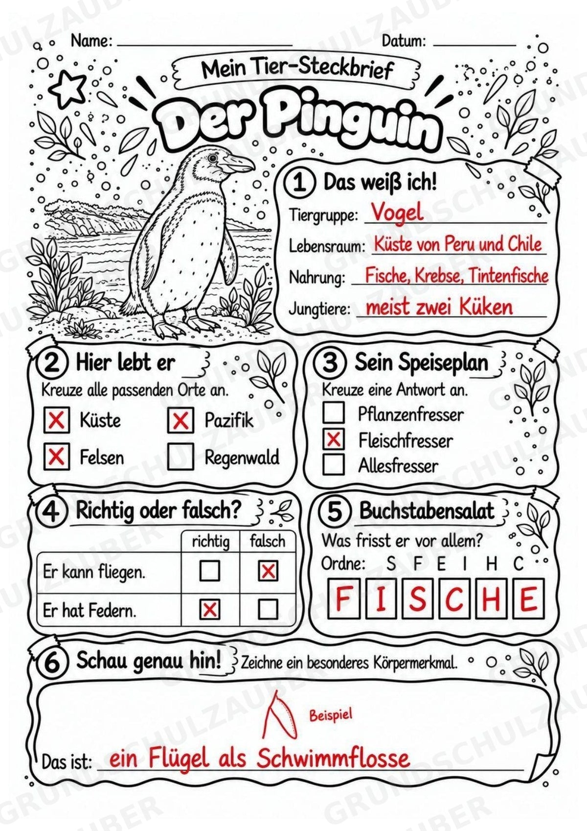 Pinguin - Lesetext & Steckbrief | Sachunterricht Tiere Grundschule – Materialseite 5