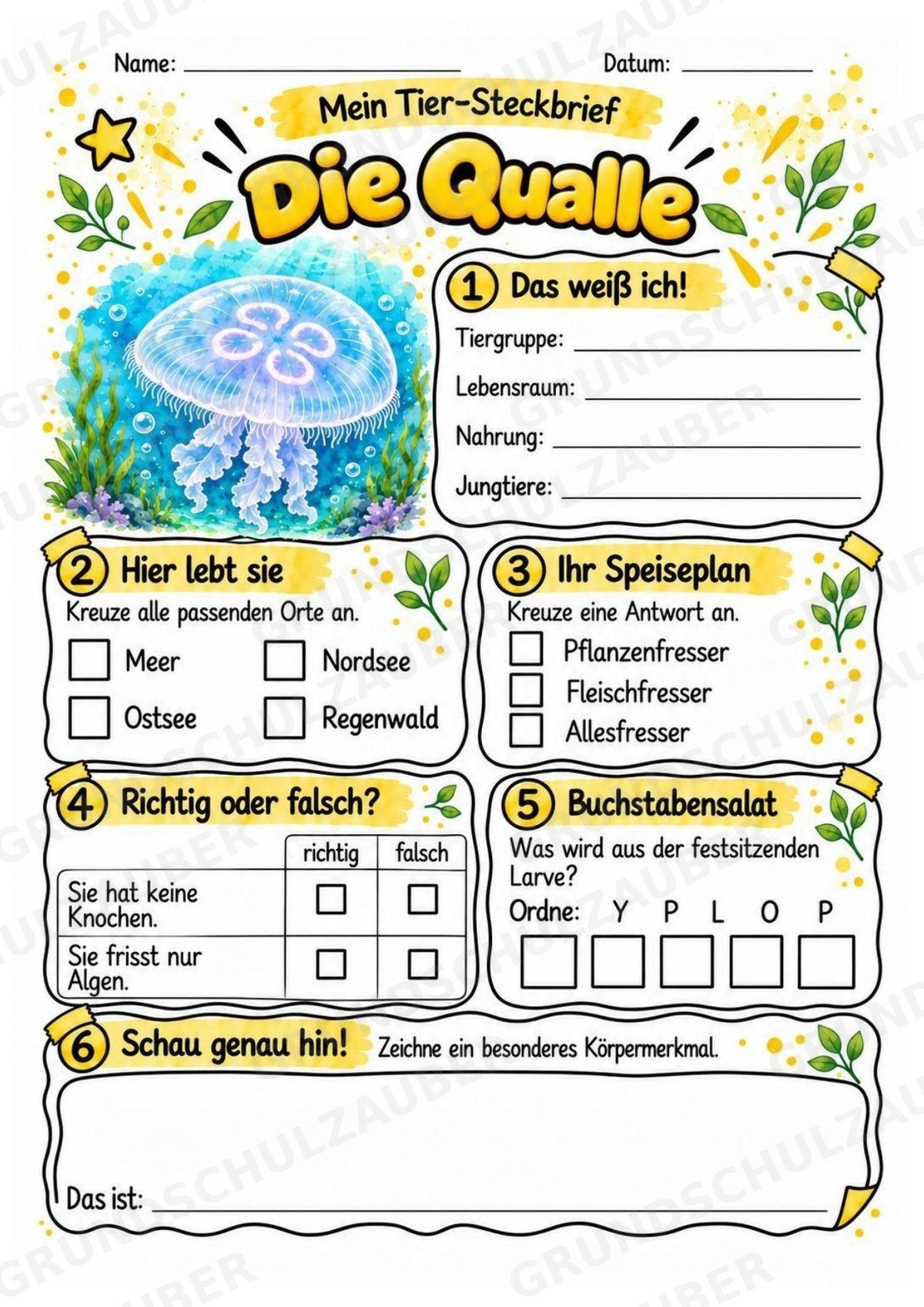 Qualle - Lesetext & Steckbrief | Sachunterricht Tiere Grundschule – Materialseite 3