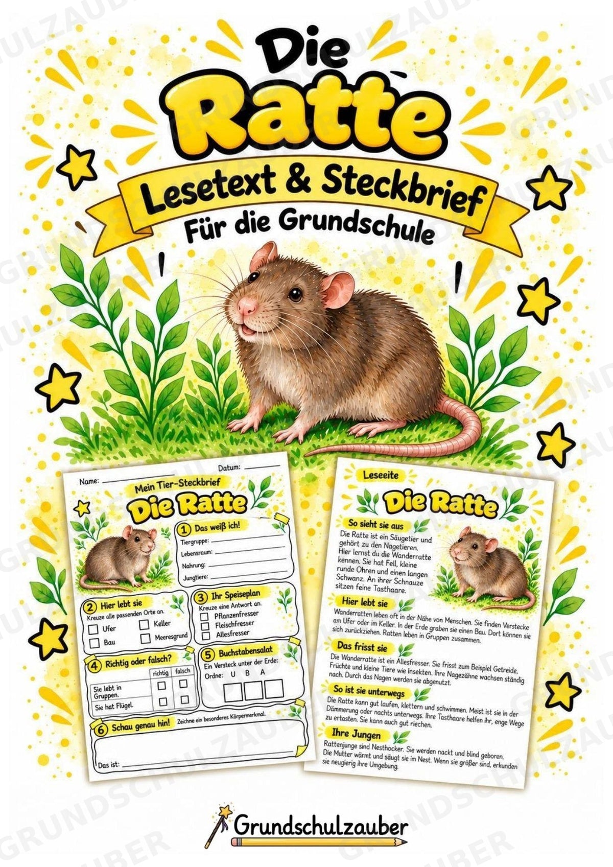 Ratte - Lesetext & Steckbrief | Sachunterricht Tiere Grundschule – Cover