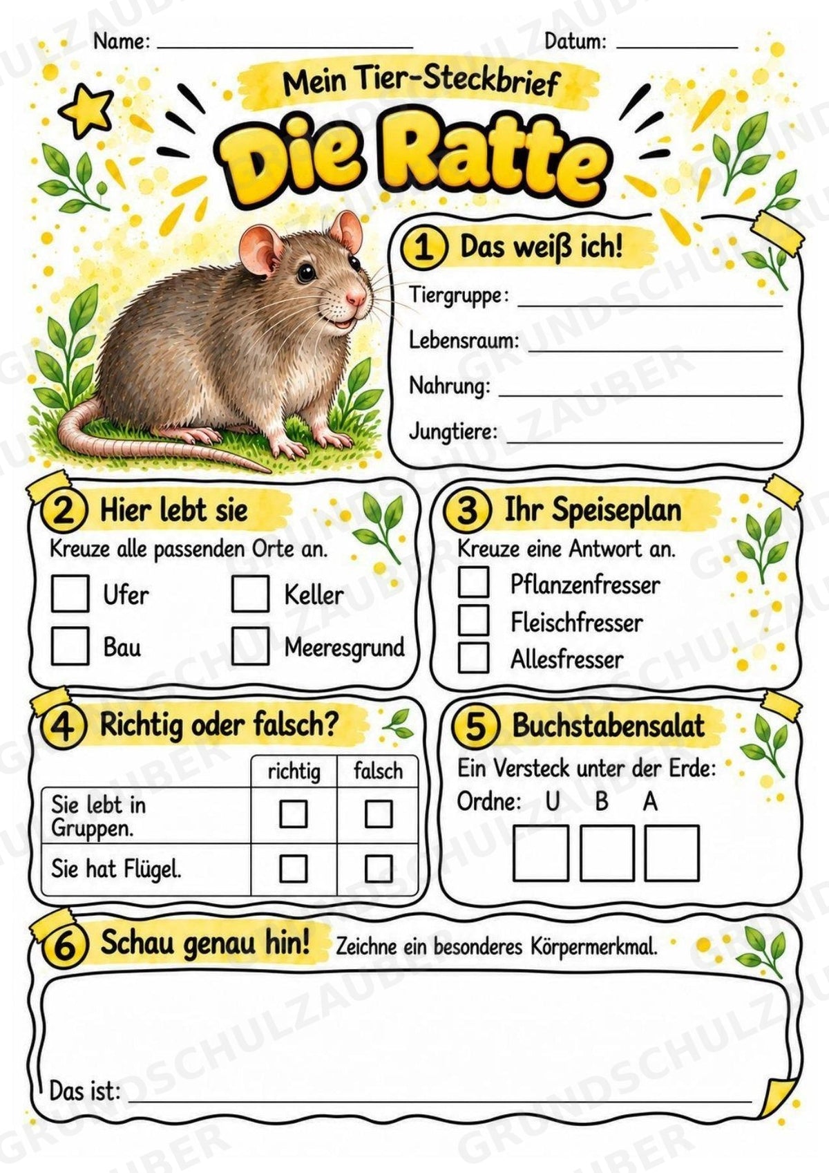 Ratte - Lesetext & Steckbrief | Sachunterricht Tiere Grundschule – Materialseite 3