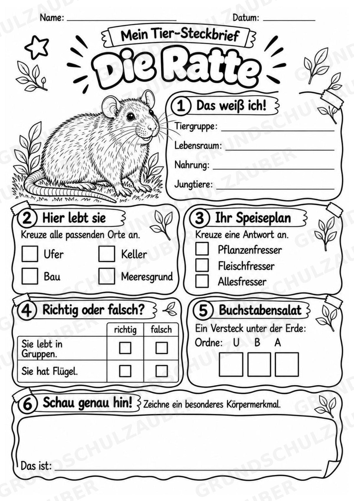 Ratte - Lesetext & Steckbrief | Sachunterricht Tiere Grundschule – Materialseite 4