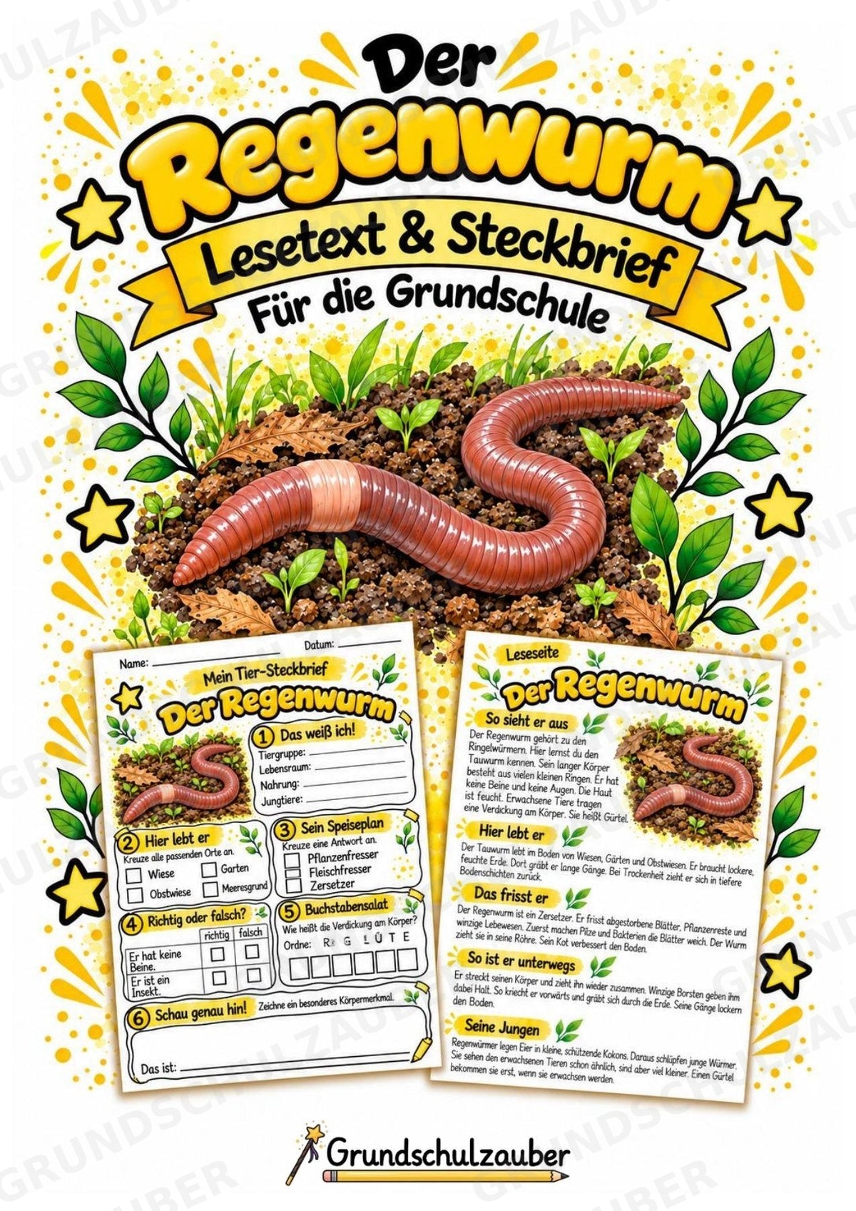 Regenwurm - Lesetext & Steckbrief | Sachunterricht Tiere Grundschule – Cover