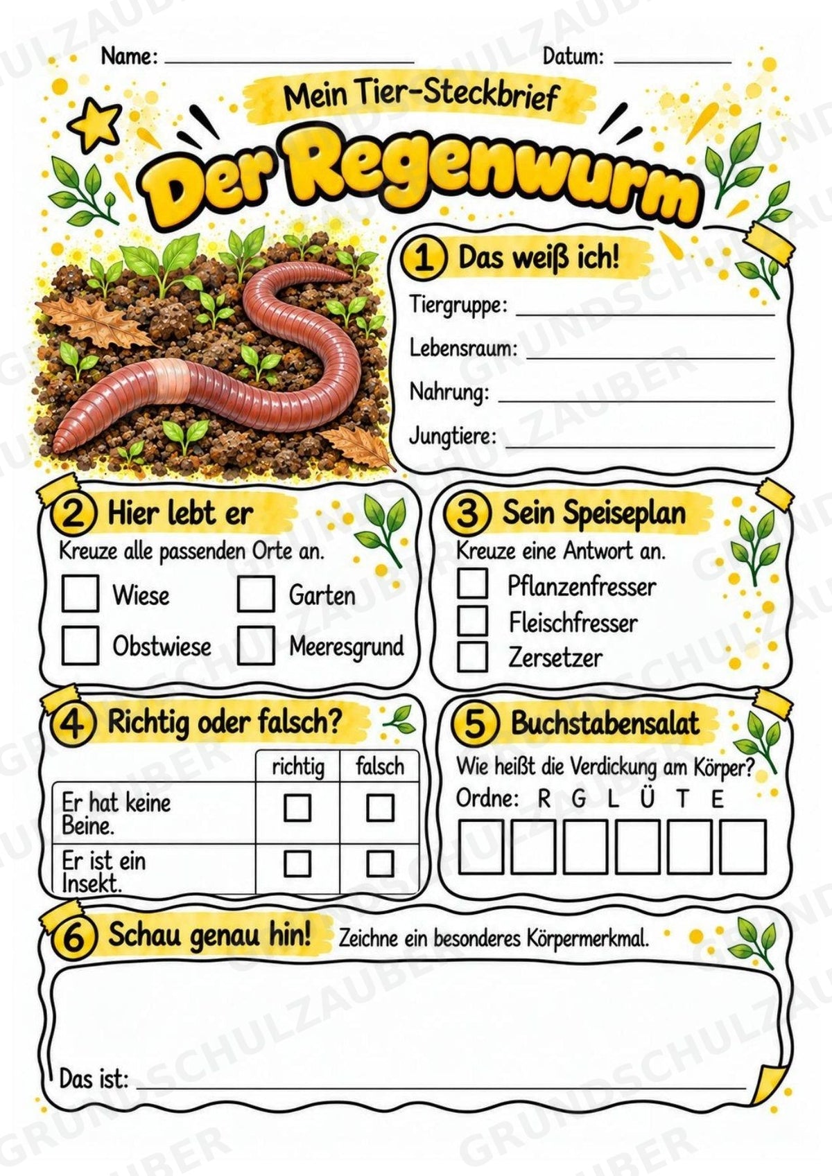 Regenwurm - Lesetext & Steckbrief | Sachunterricht Tiere Grundschule – Materialseite 3