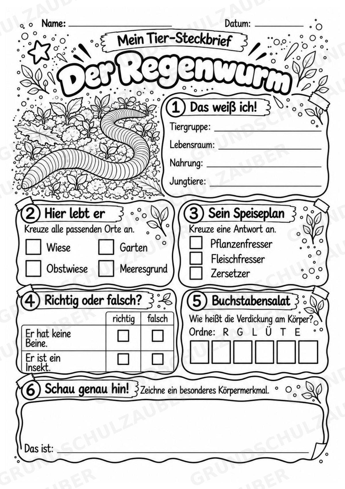 Regenwurm - Lesetext & Steckbrief | Sachunterricht Tiere Grundschule – Materialseite 4