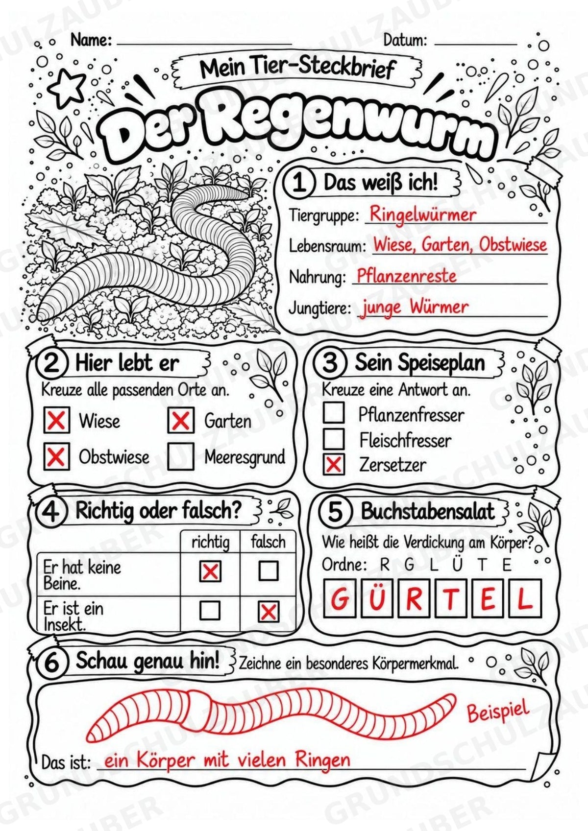Regenwurm - Lesetext & Steckbrief | Sachunterricht Tiere Grundschule – Materialseite 5