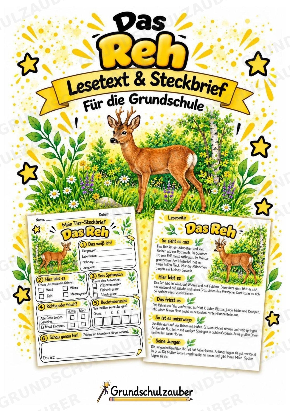 Reh - Lesetext & Steckbrief | Sachunterricht Tiere Grundschule – Cover