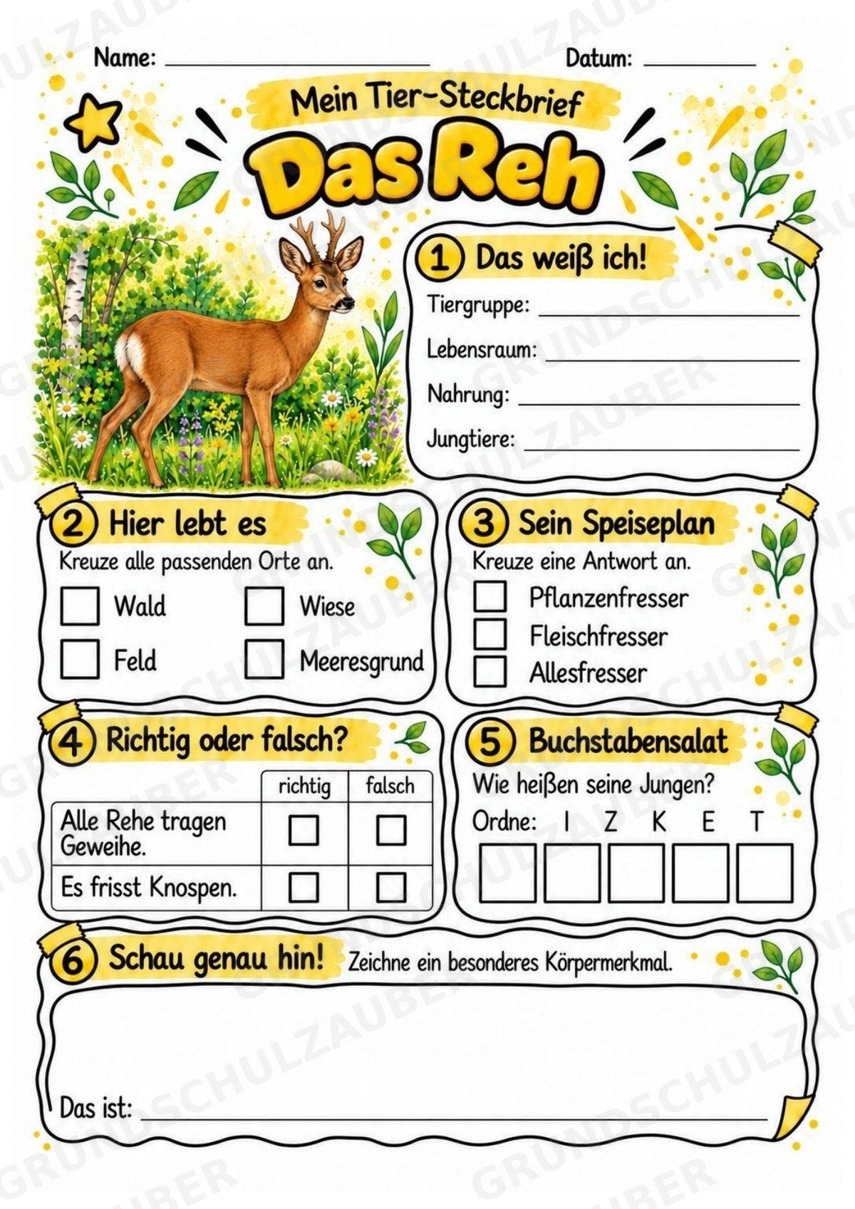 Reh - Lesetext & Steckbrief | Sachunterricht Tiere Grundschule – Materialseite 3
