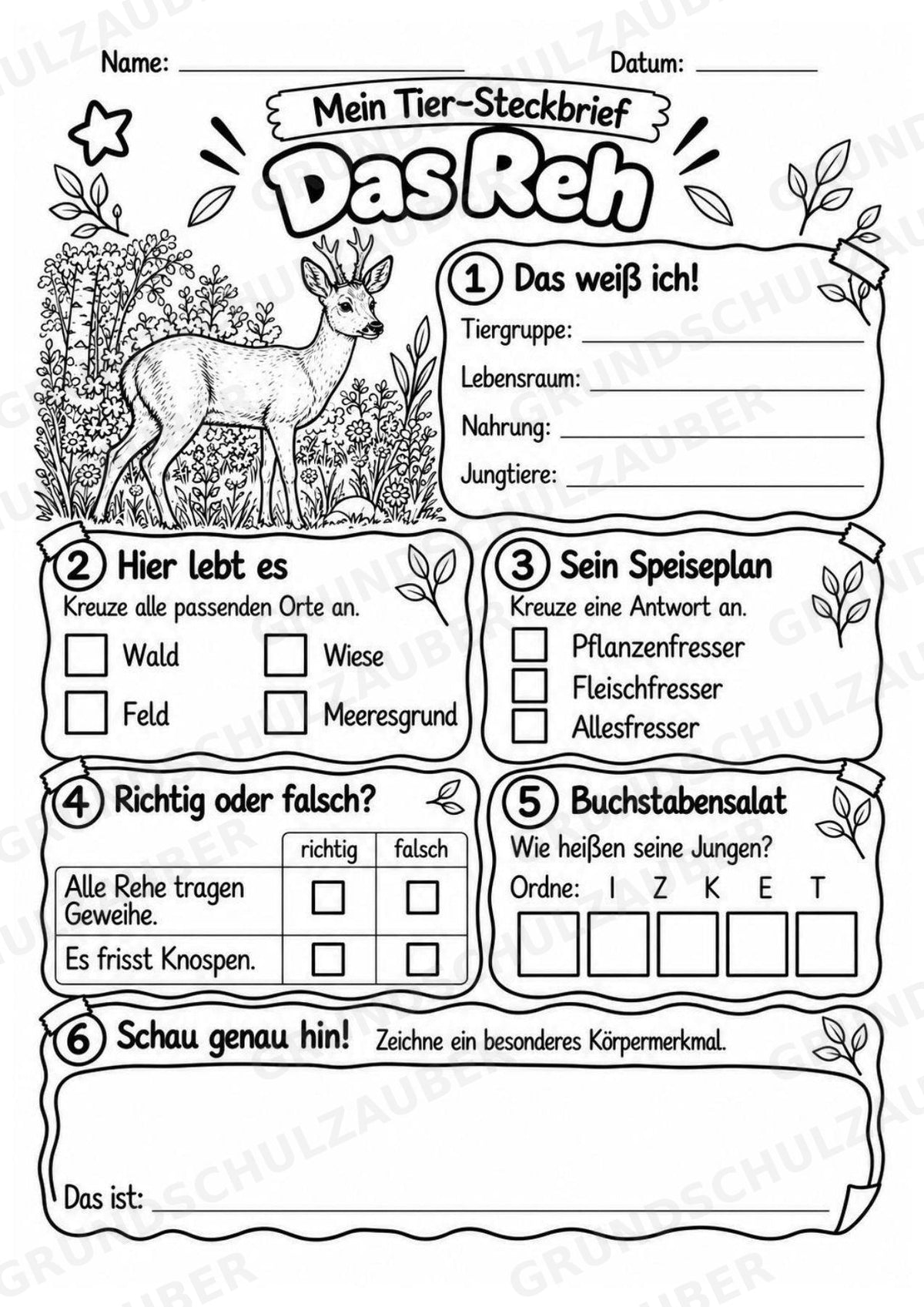 Reh - Lesetext & Steckbrief | Sachunterricht Tiere Grundschule – Materialseite 4