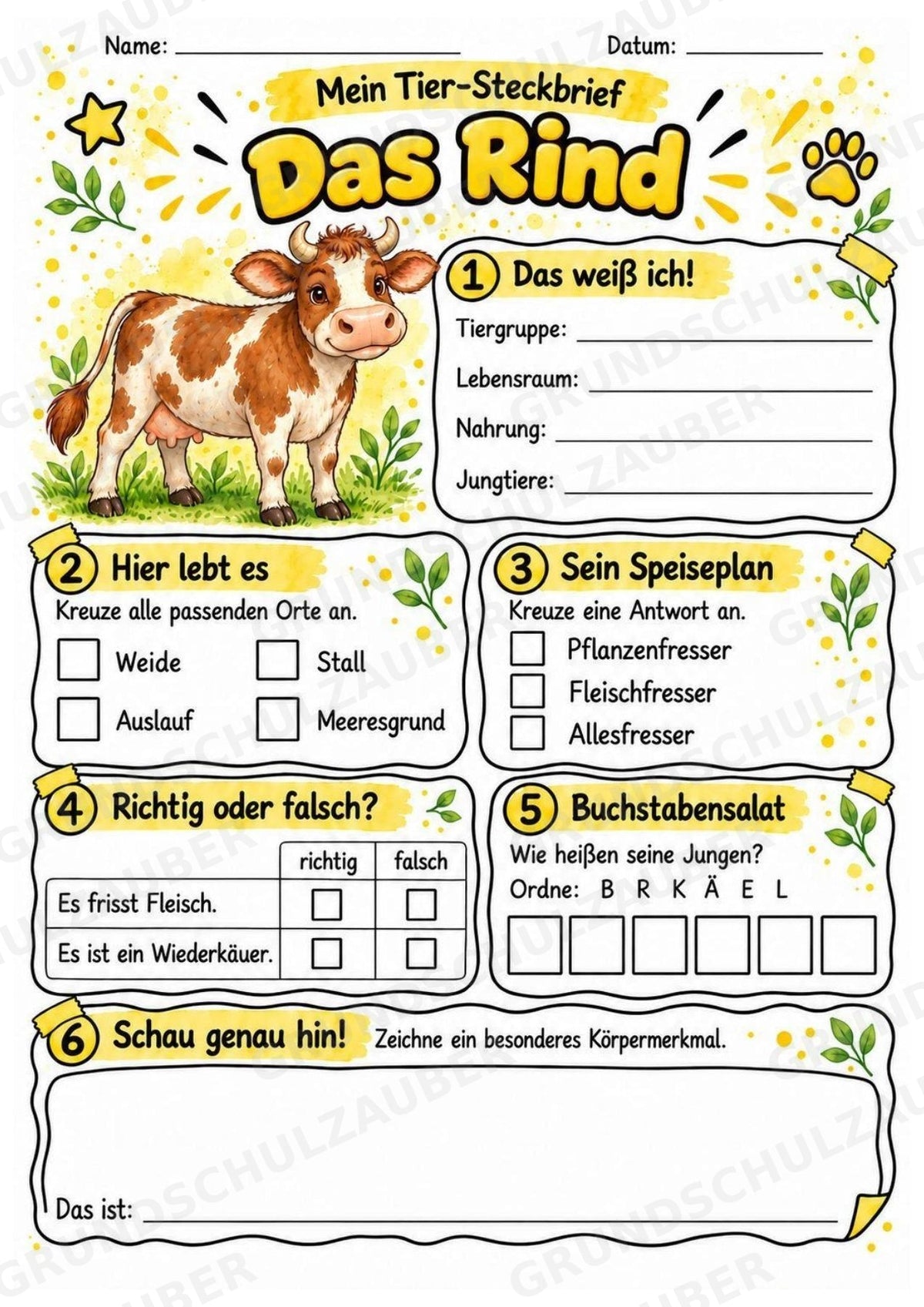 Rind - Lesetext & Steckbrief | Sachunterricht Tiere Grundschule – Materialseite 3