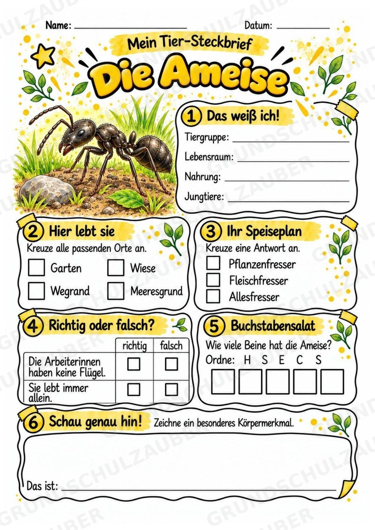 Ameise - Lesetext & Steckbrief | Sachunterricht Tiere Grundschule – Materialseite 3