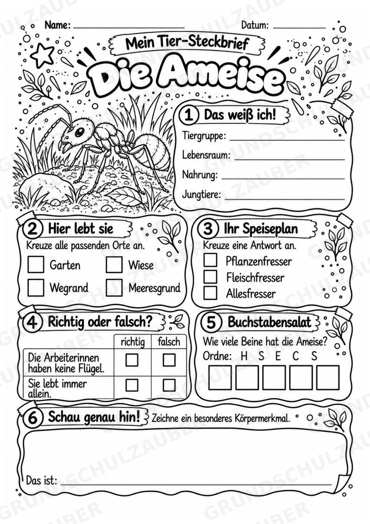 Ameise - Lesetext & Steckbrief | Sachunterricht Tiere Grundschule – Materialseite 4