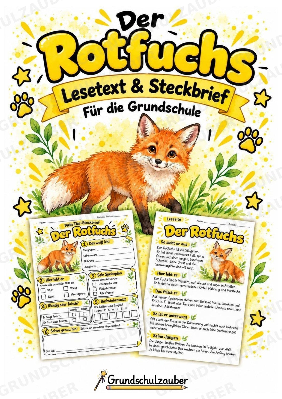 Rotfuchs - Lesetext & Steckbrief | Sachunterricht Tiere Grundschule – Cover