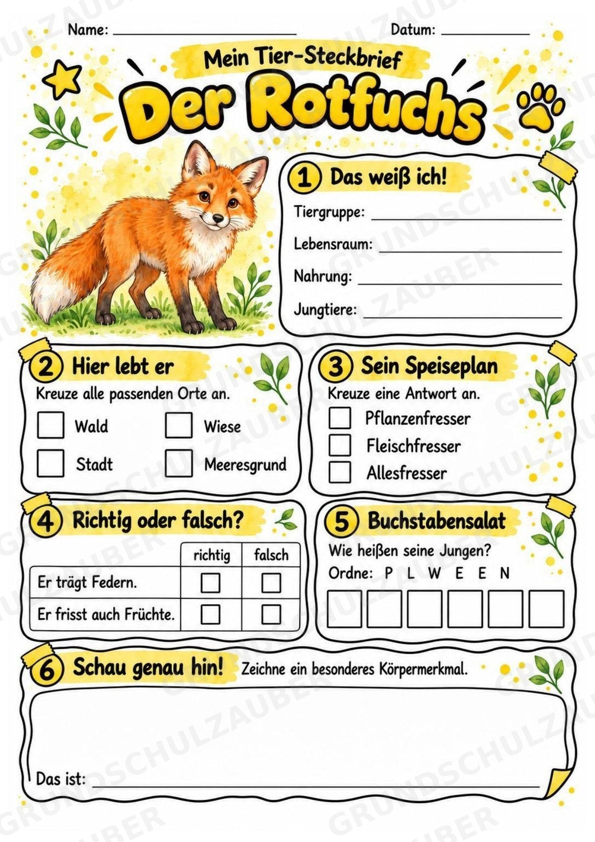 Rotfuchs - Lesetext & Steckbrief | Sachunterricht Tiere Grundschule – Materialseite 3