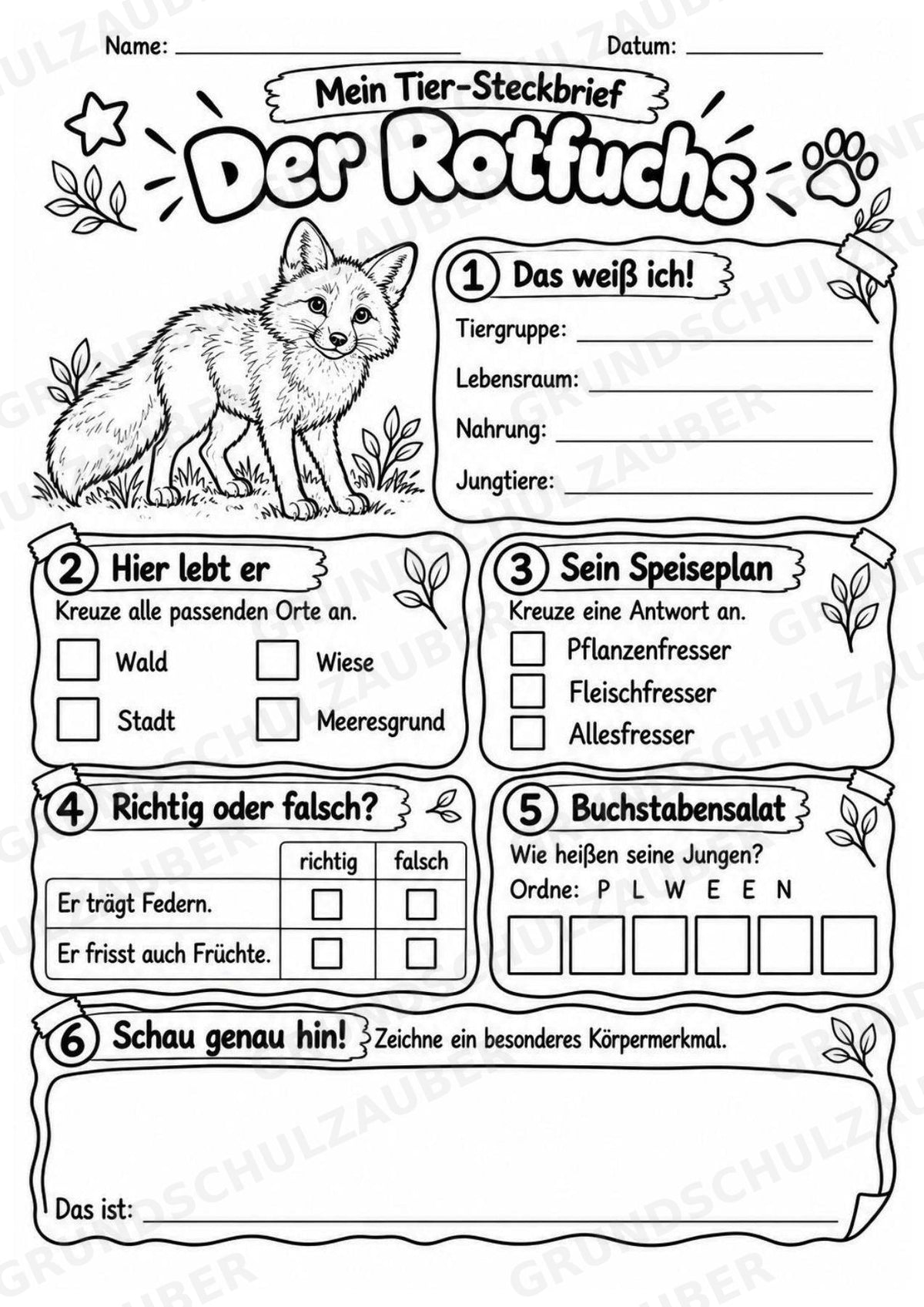 Rotfuchs - Lesetext & Steckbrief | Sachunterricht Tiere Grundschule – Materialseite 4
