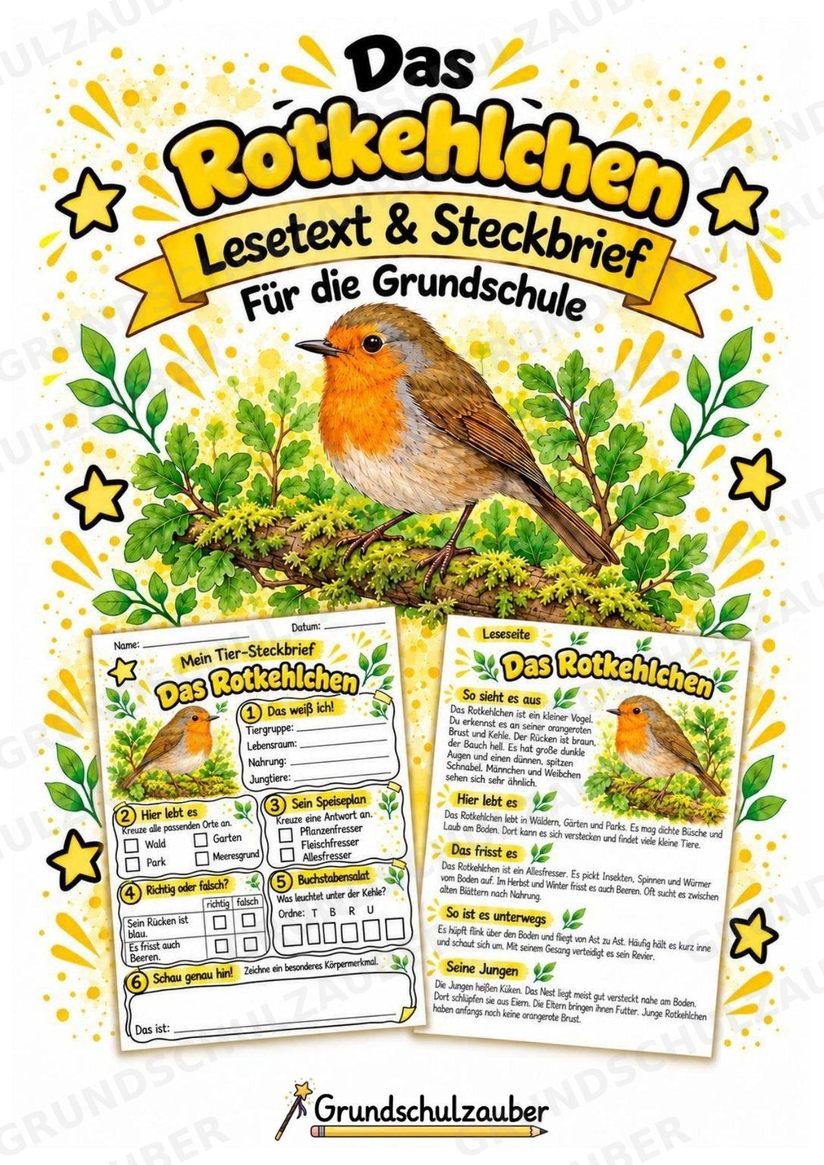 Rotkehlchen - Lesetext & Steckbrief | Sachunterricht Tiere Grundschule – Cover