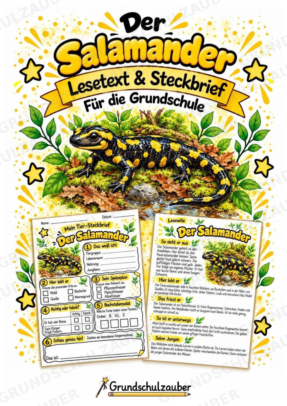 Salamander - Lesetext & Steckbrief | Sachunterricht Tiere Grundschule – Cover