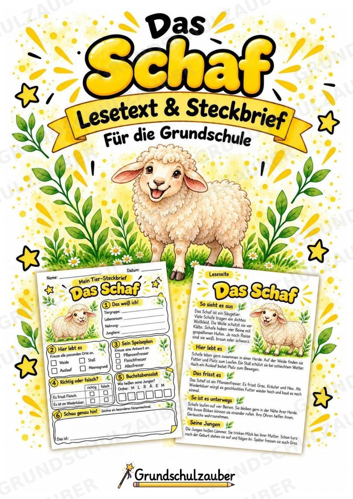 Schaf - Lesetext & Steckbrief | Sachunterricht Tiere Grundschule – Cover