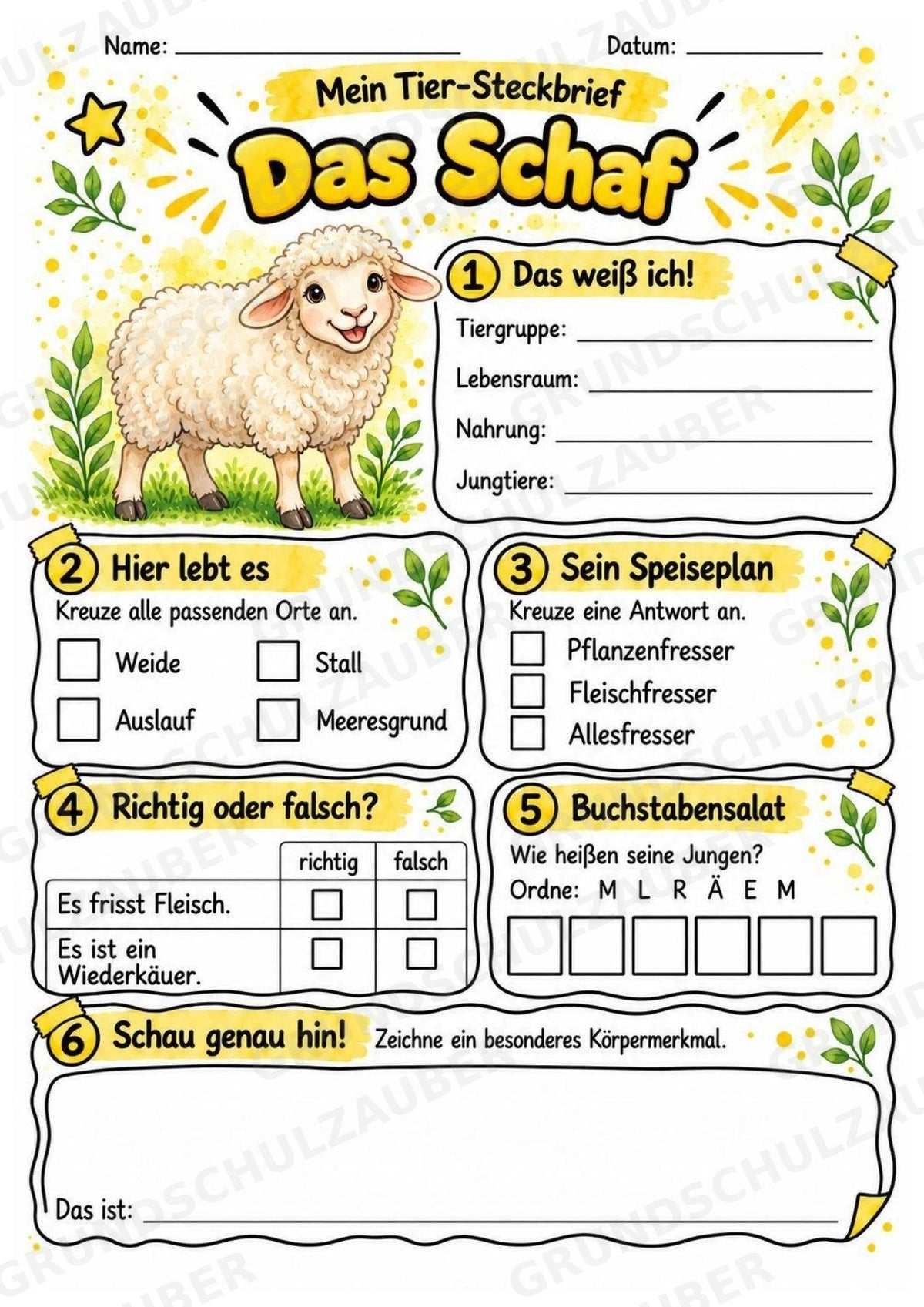 Schaf - Lesetext & Steckbrief | Sachunterricht Tiere Grundschule – Materialseite 3