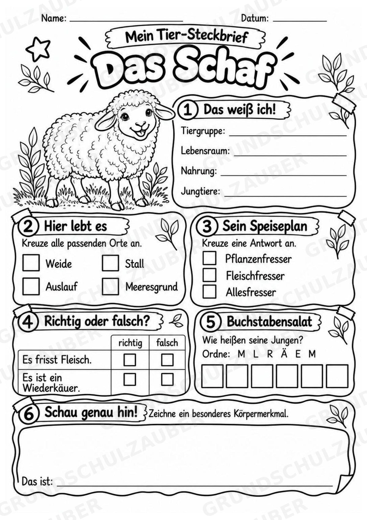 Schaf - Lesetext & Steckbrief | Sachunterricht Tiere Grundschule – Materialseite 4